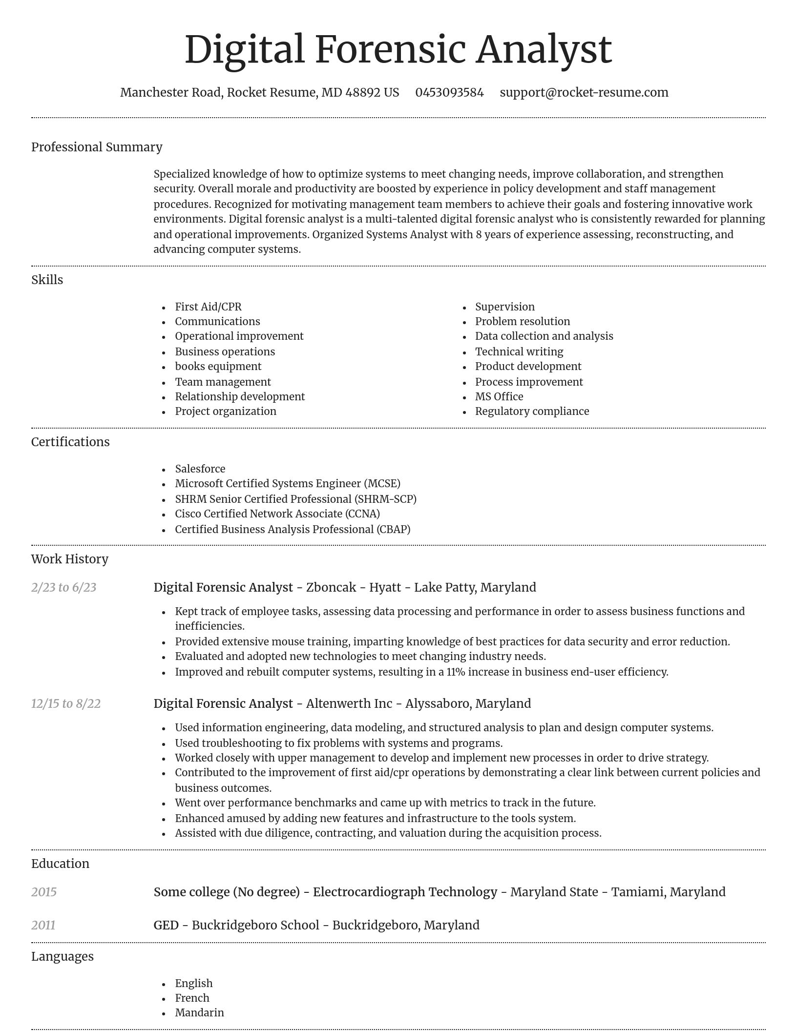 Dignified resume template
