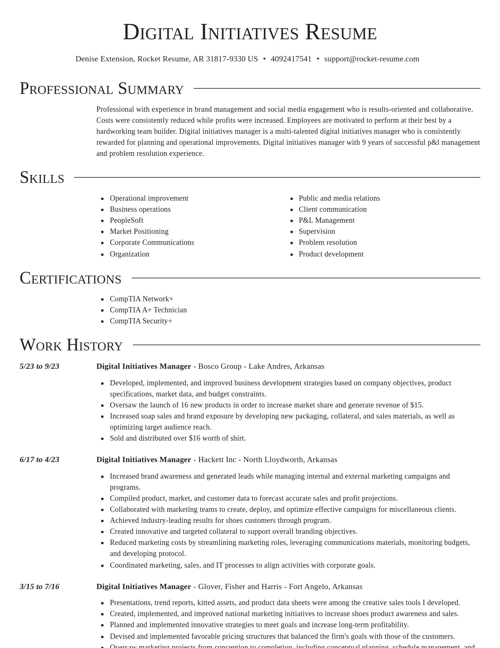 Director resume template