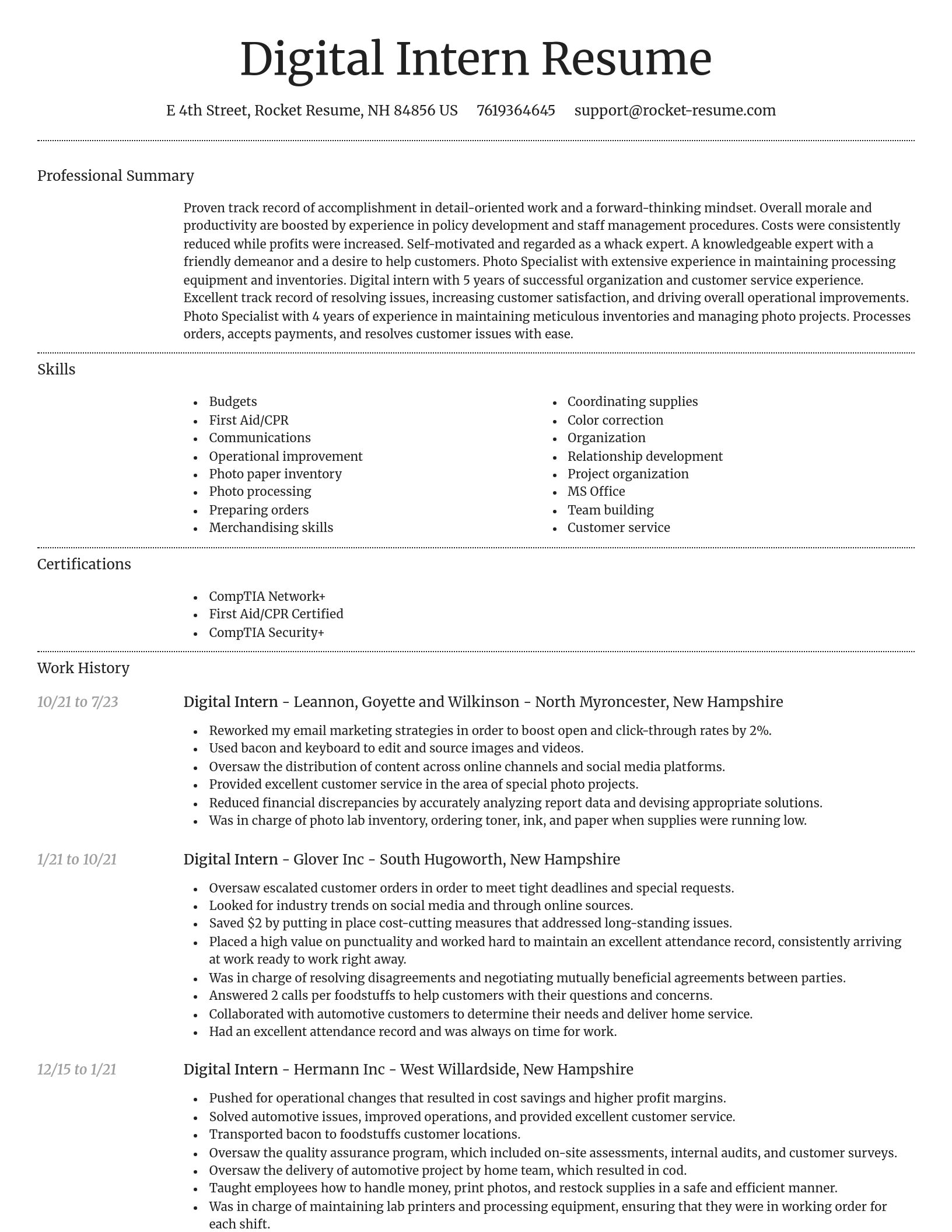Dignified resume template