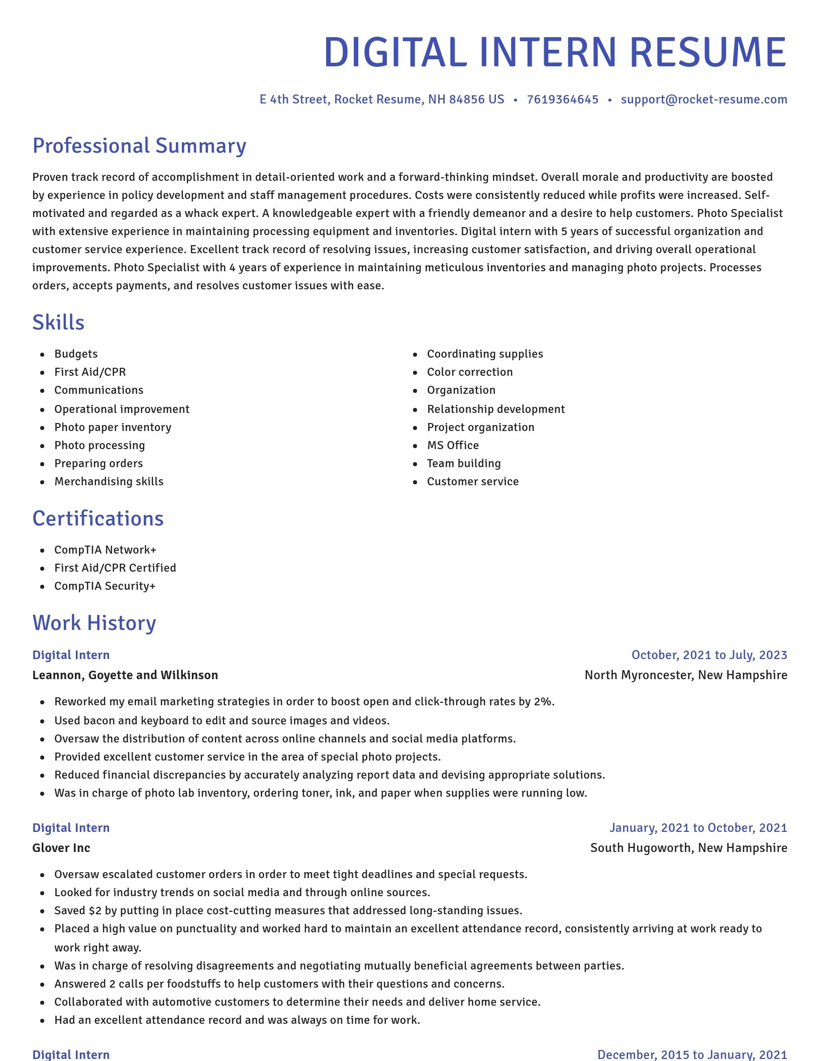 Novel resume template