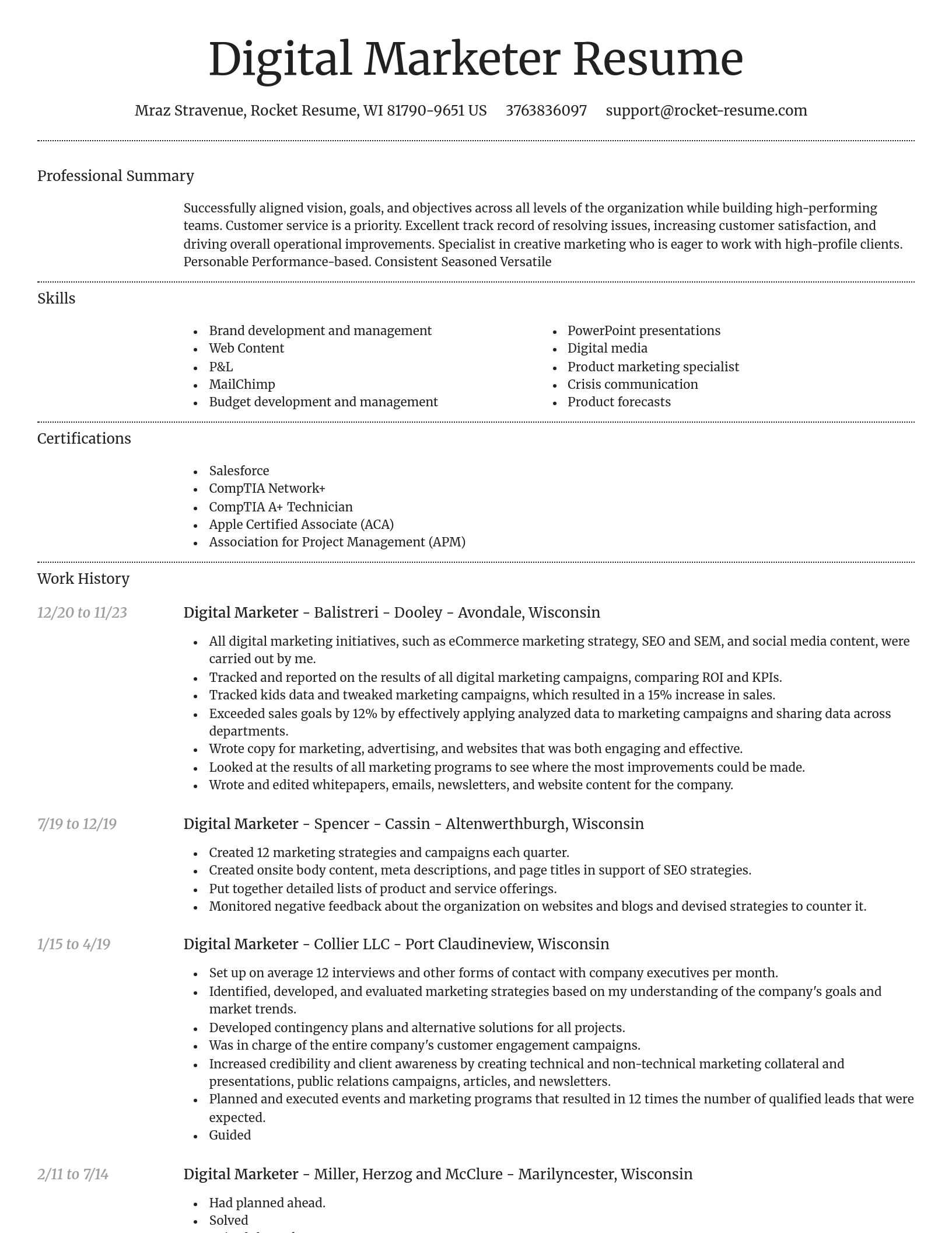 Dignified resume template
