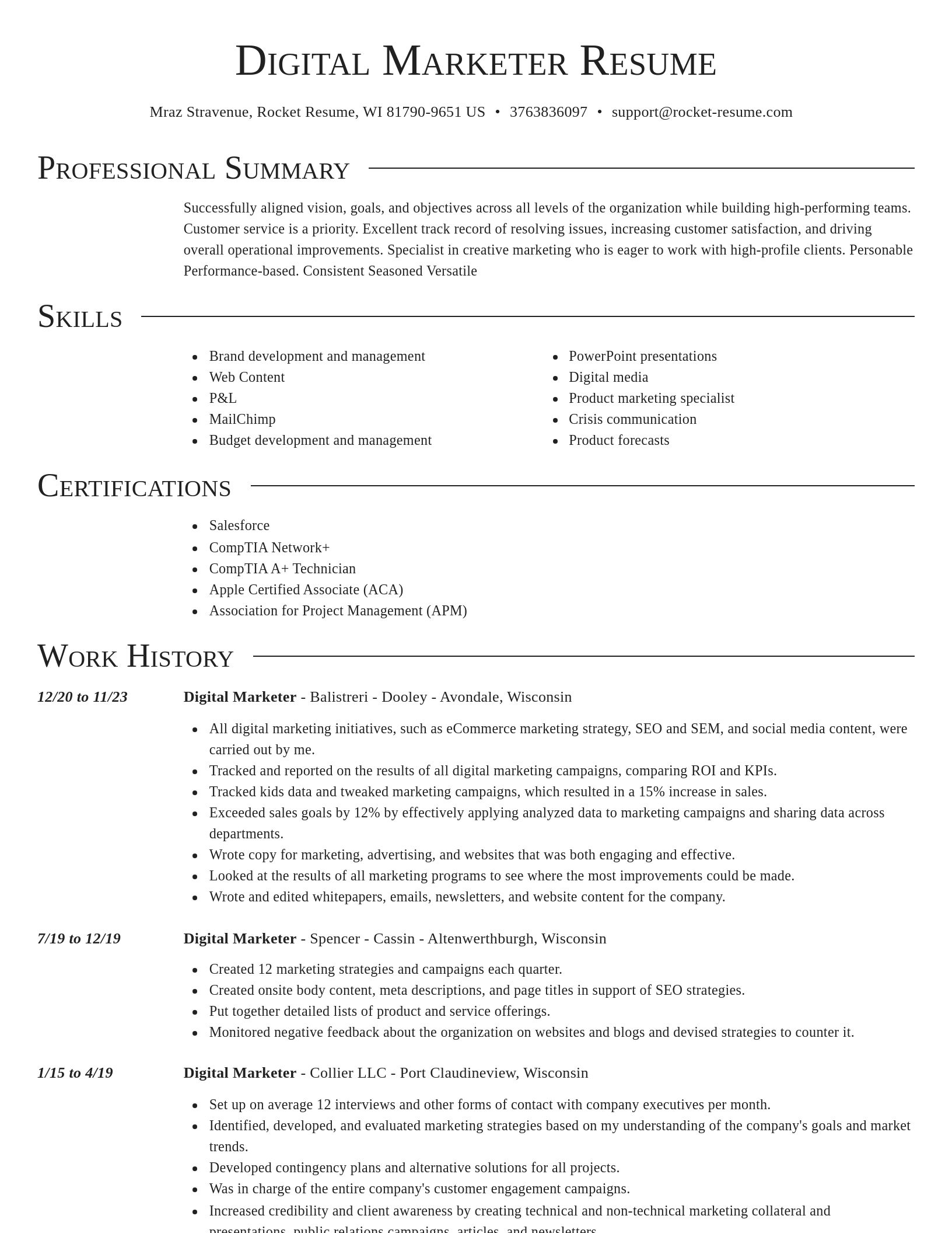 Director resume template