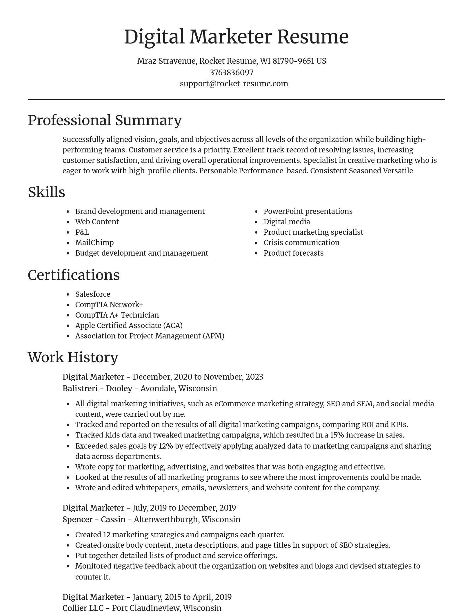 Focal Point resume template