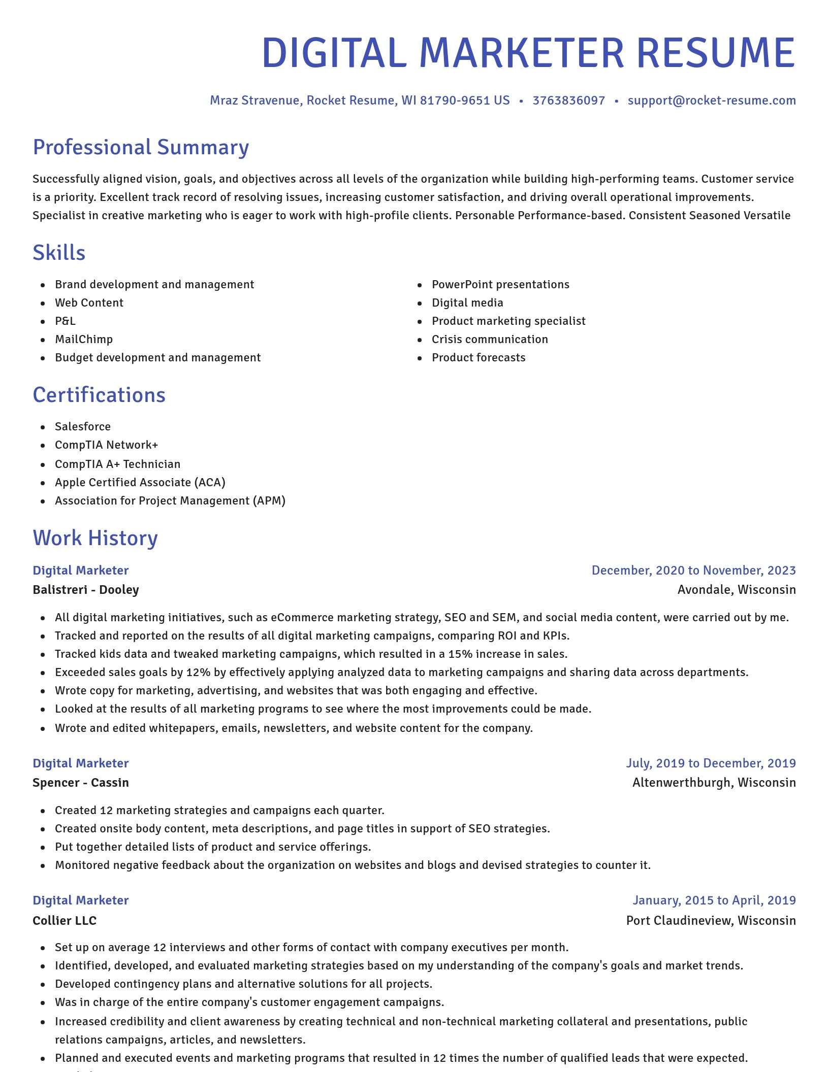 Novel resume template