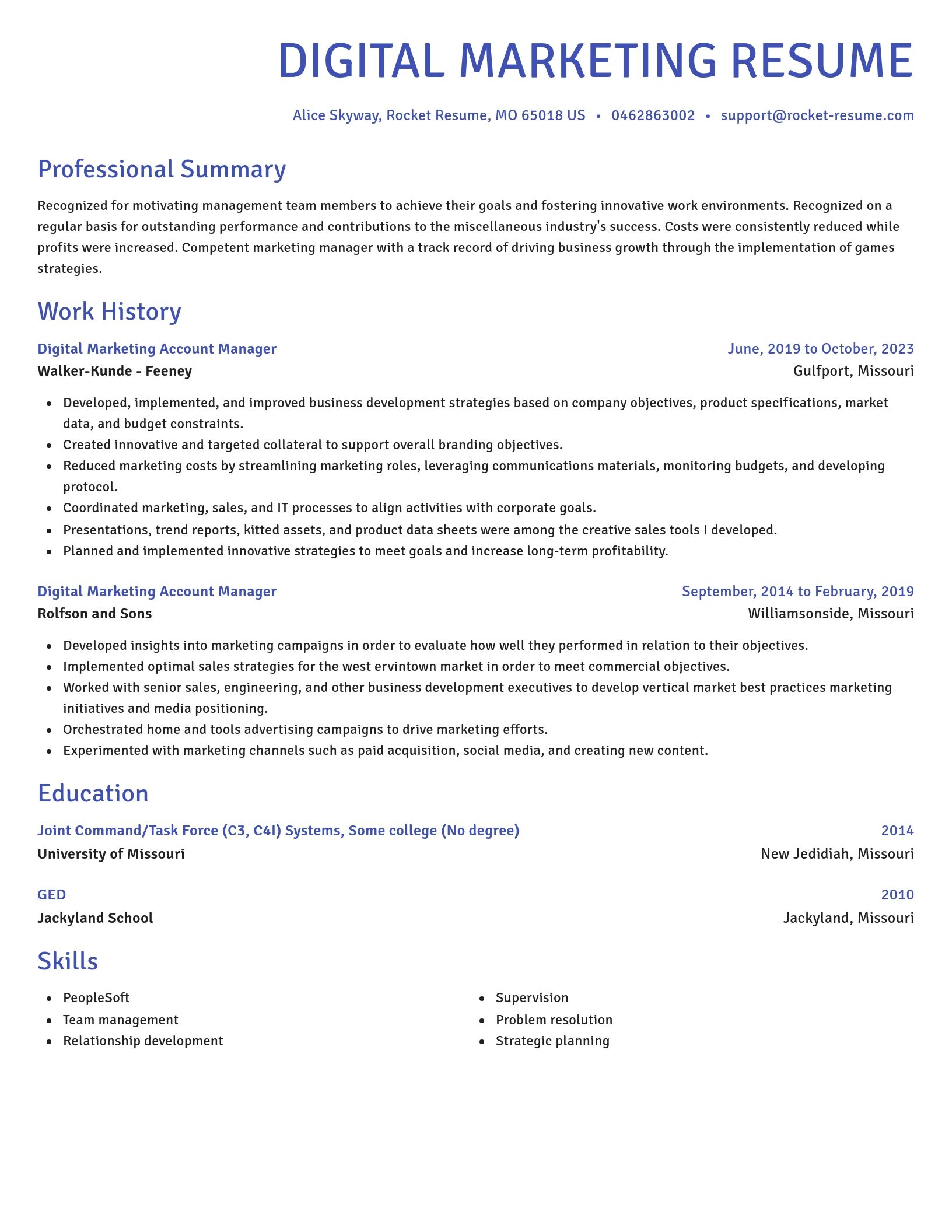 Novel resume template