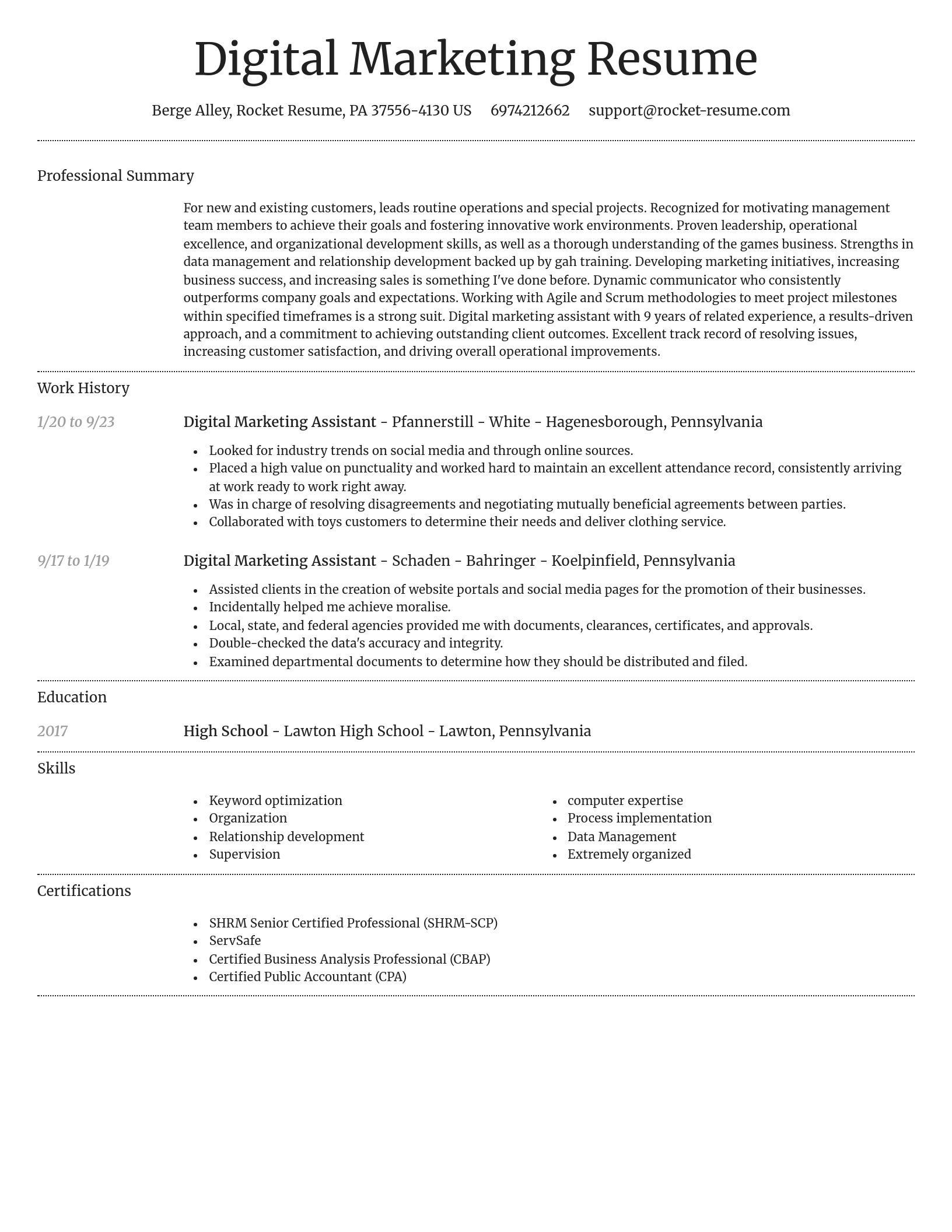 Dignified resume template