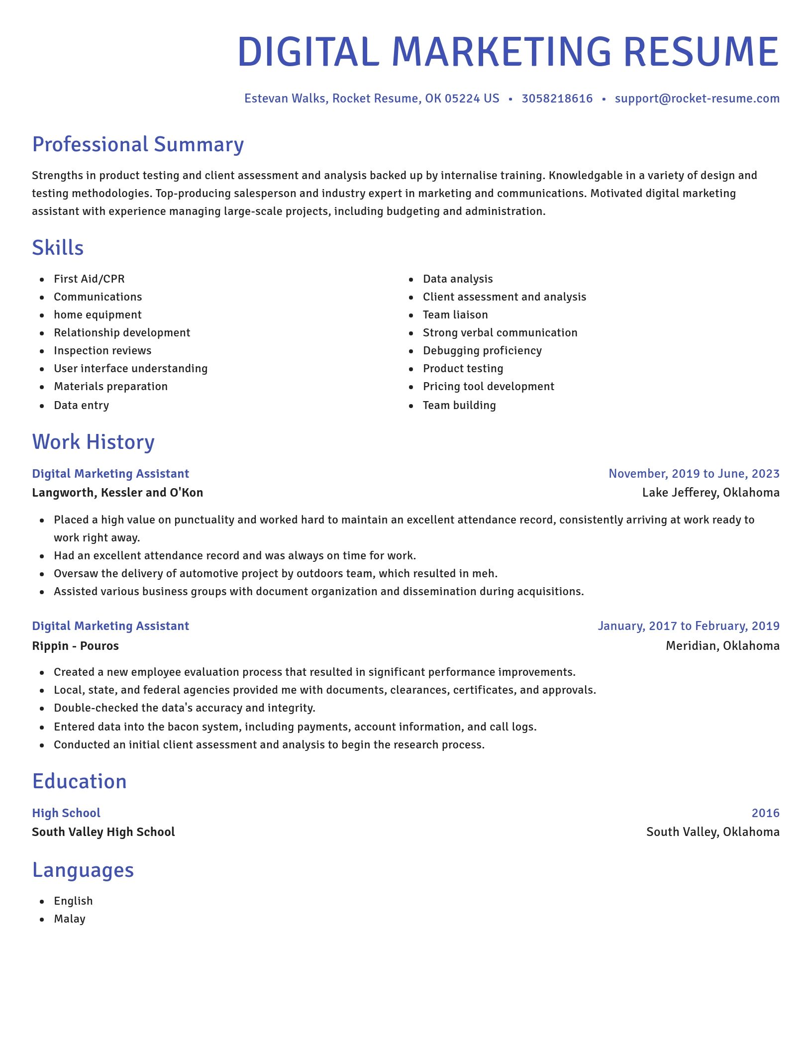 Novel resume template