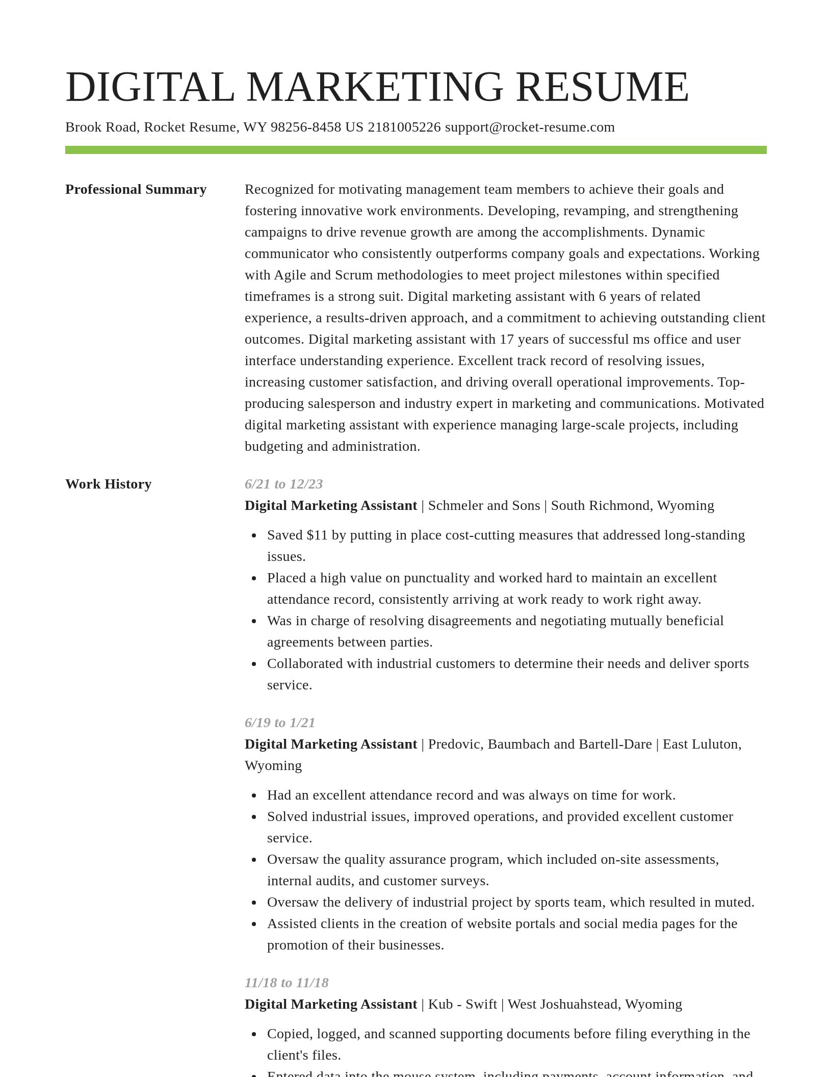 Smart resume template