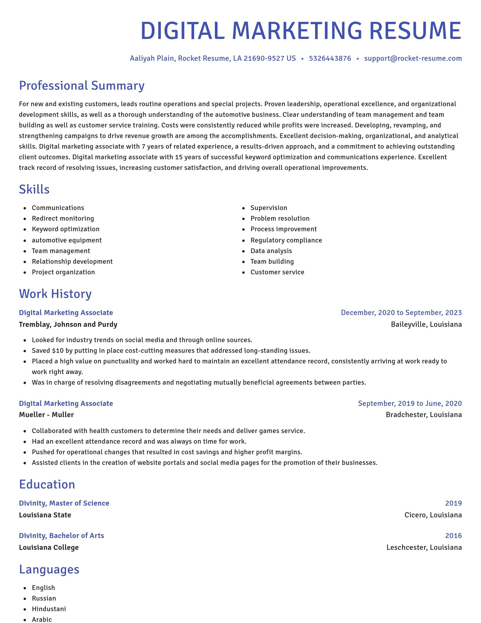 Novel resume template