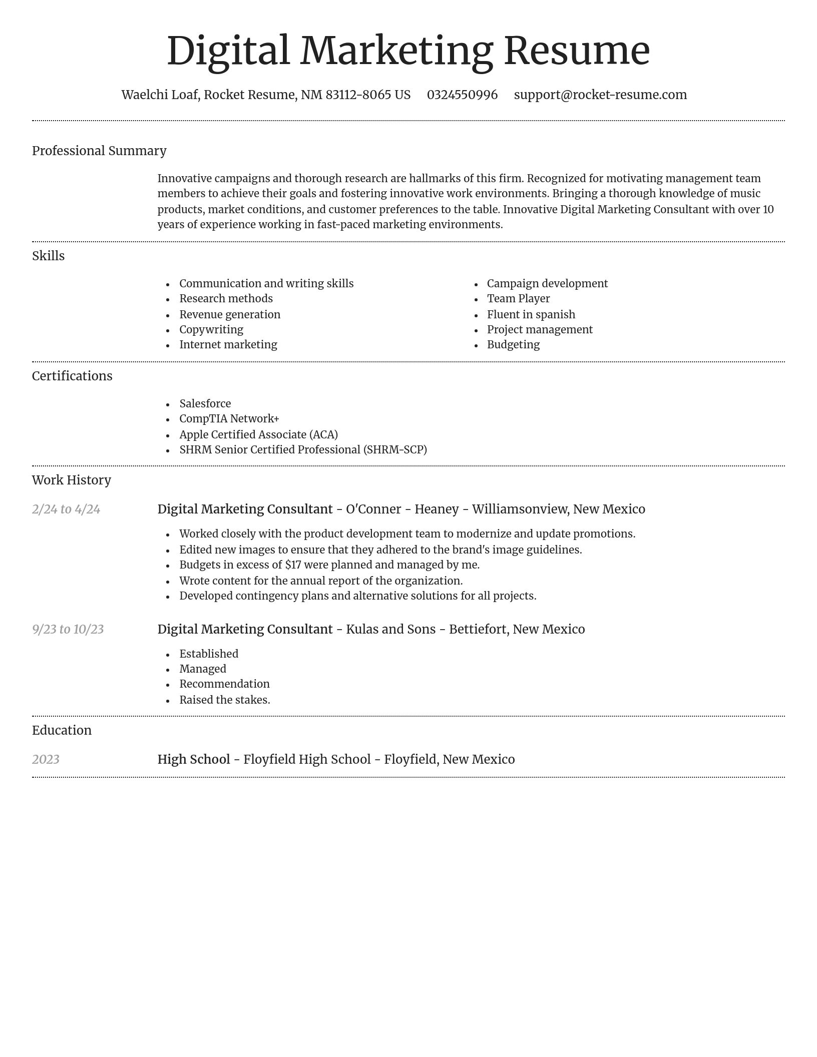 Dignified resume template