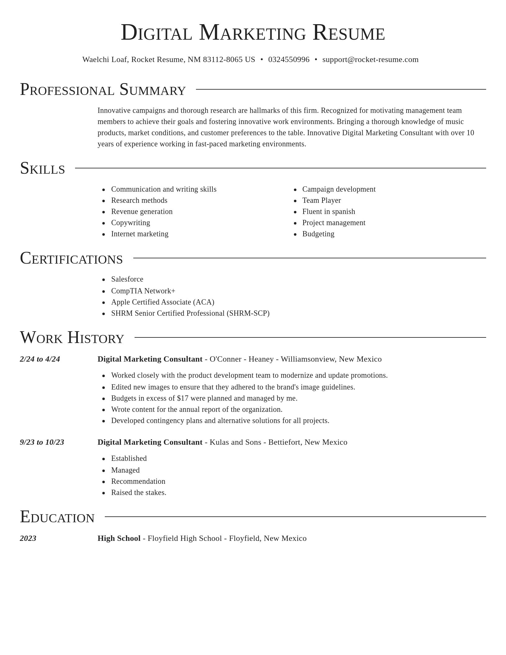 Director resume template
