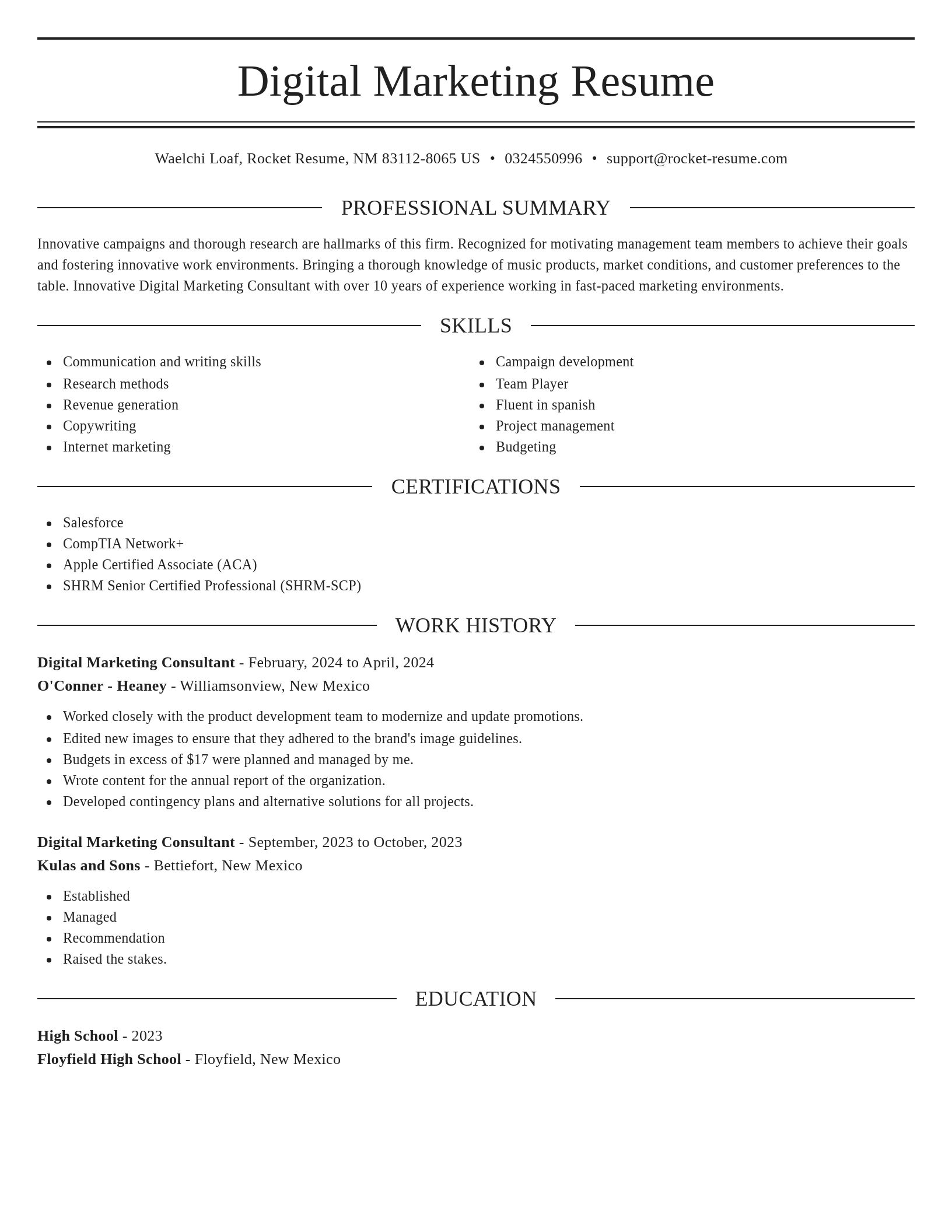 Elegant resume template