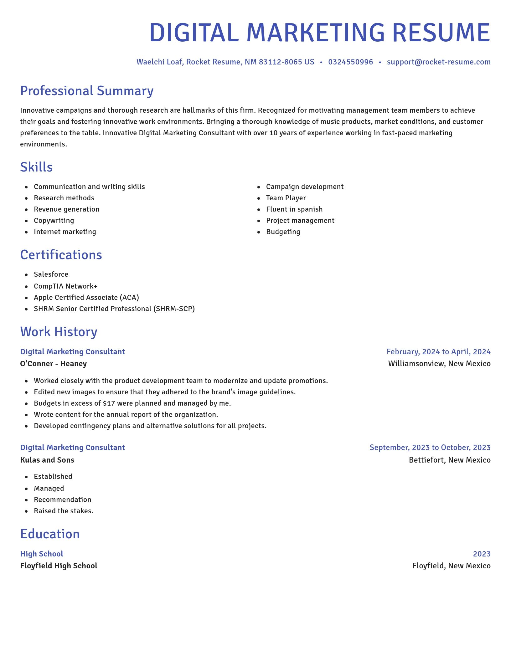 Novel resume template