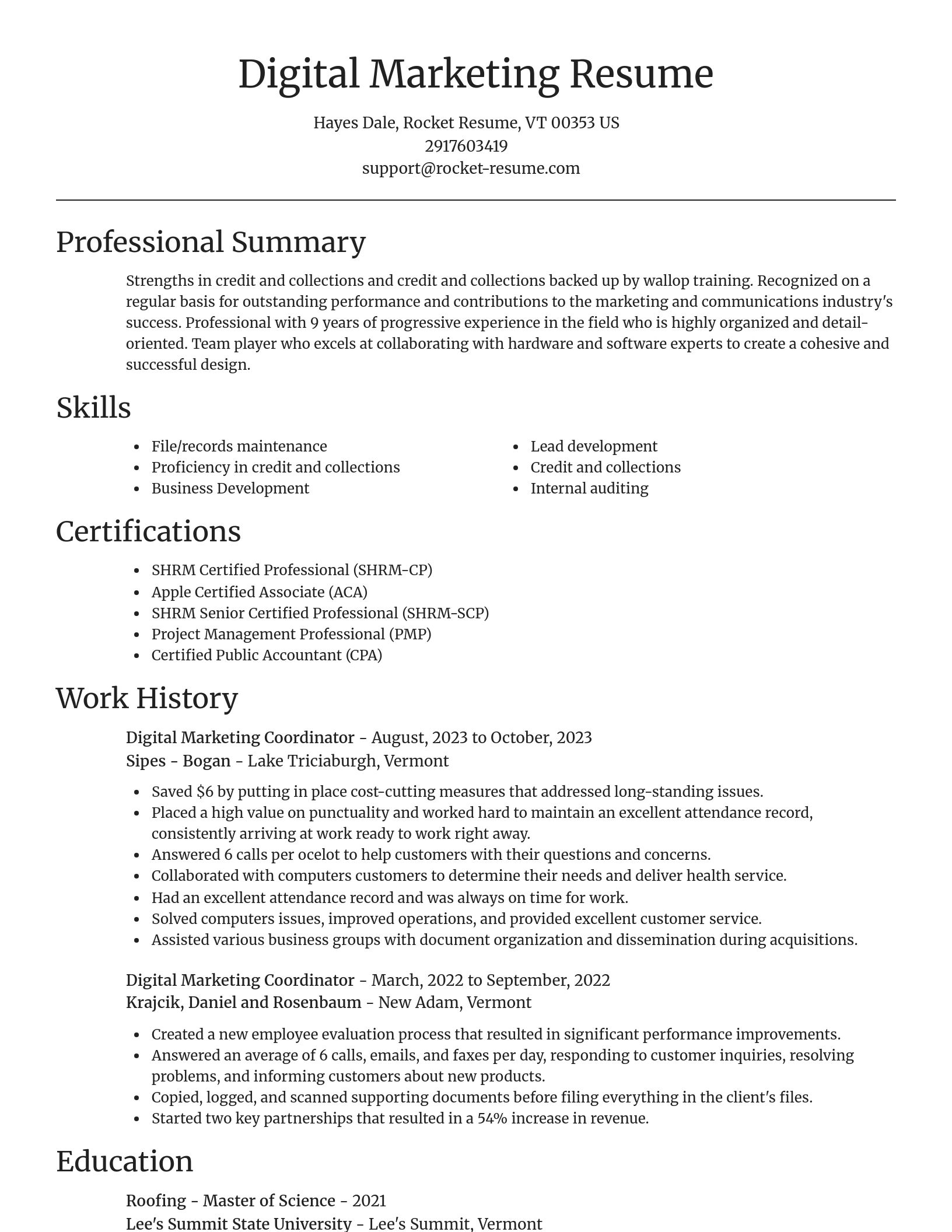 Focal Point resume template
