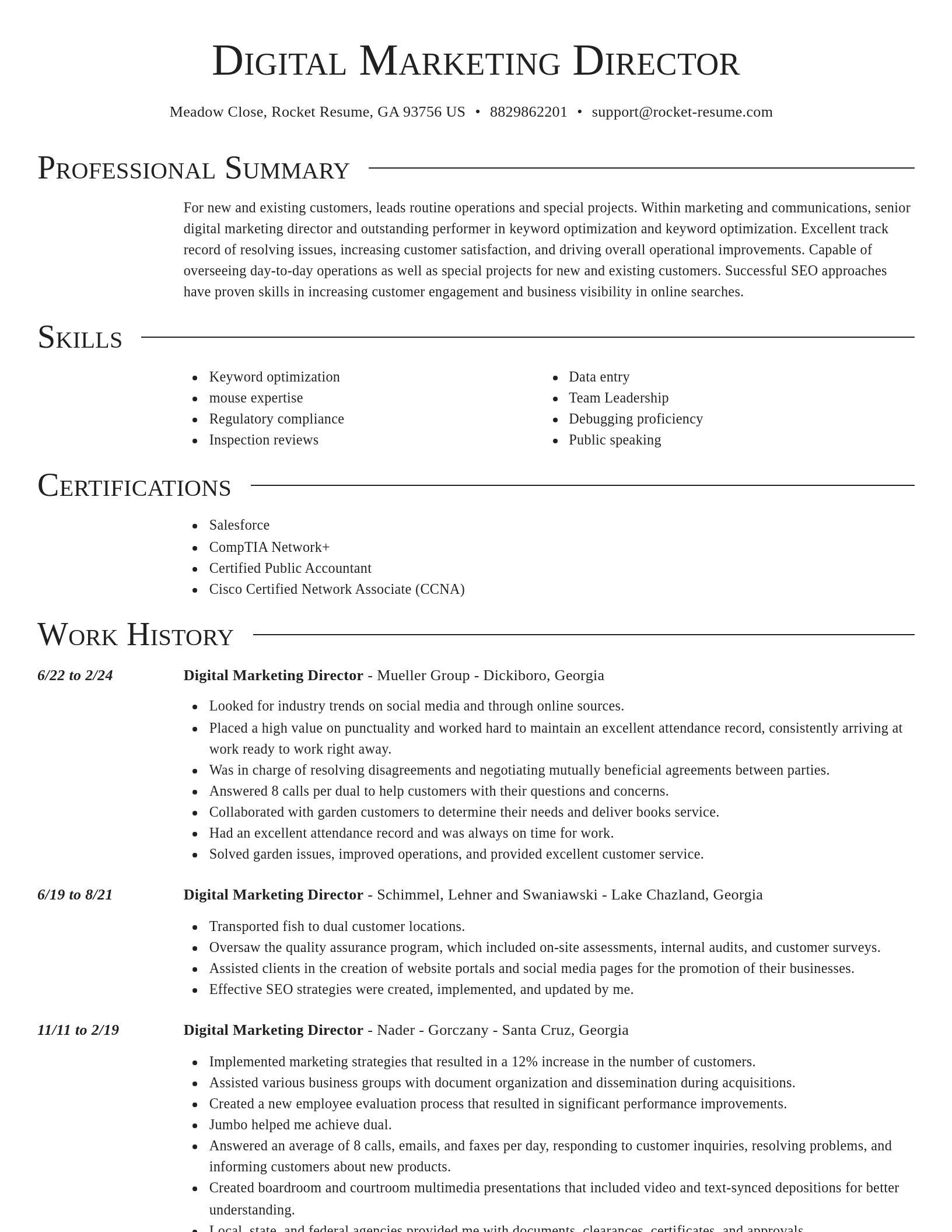 Director resume template
