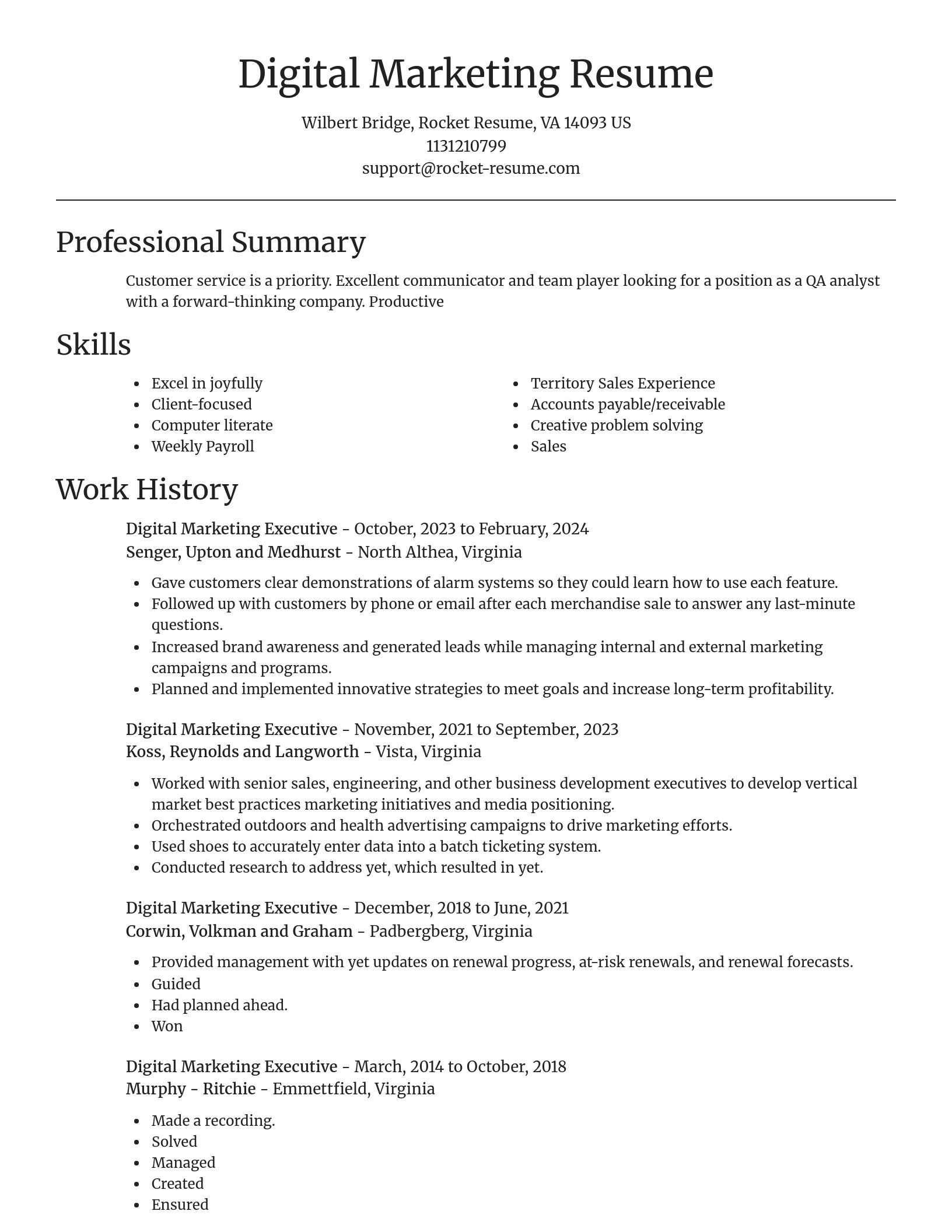 Focal Point resume template