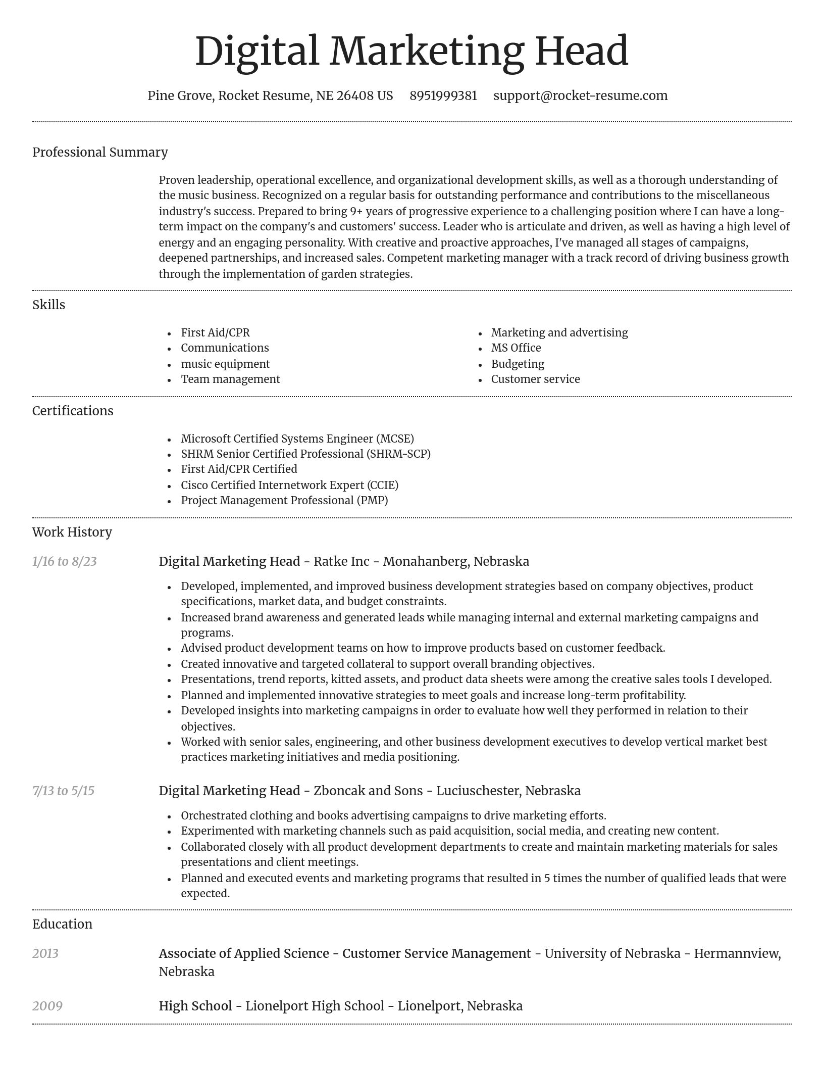 Dignified resume template