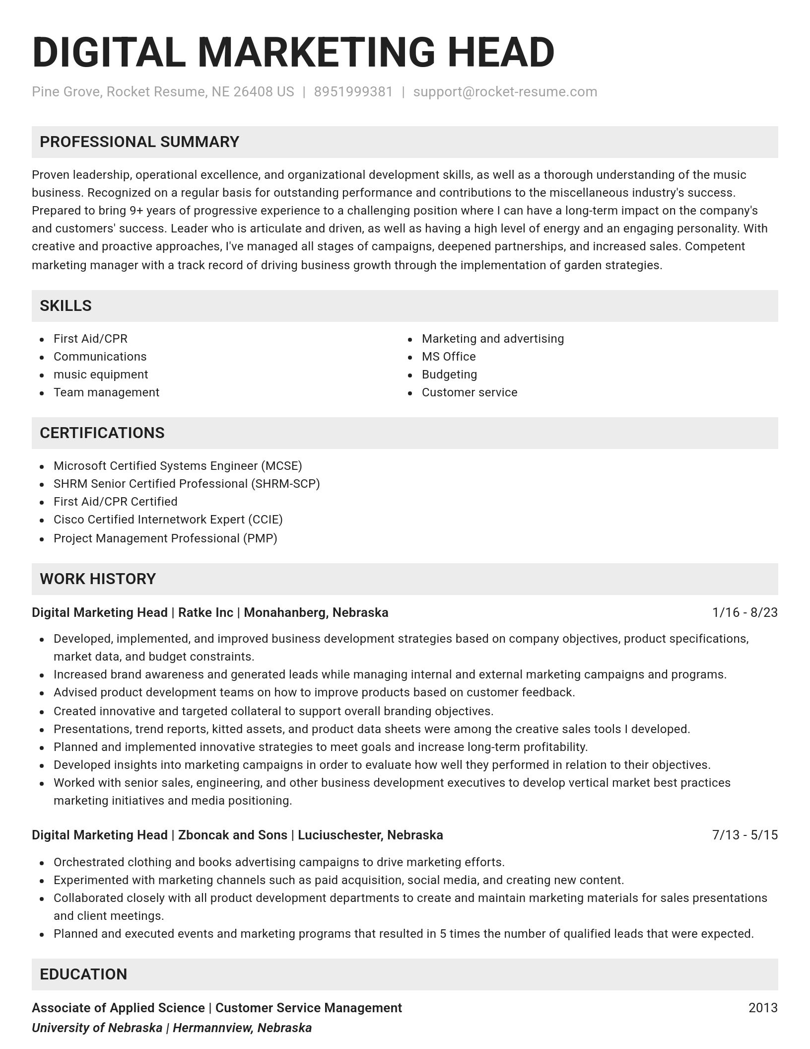 Genius resume template