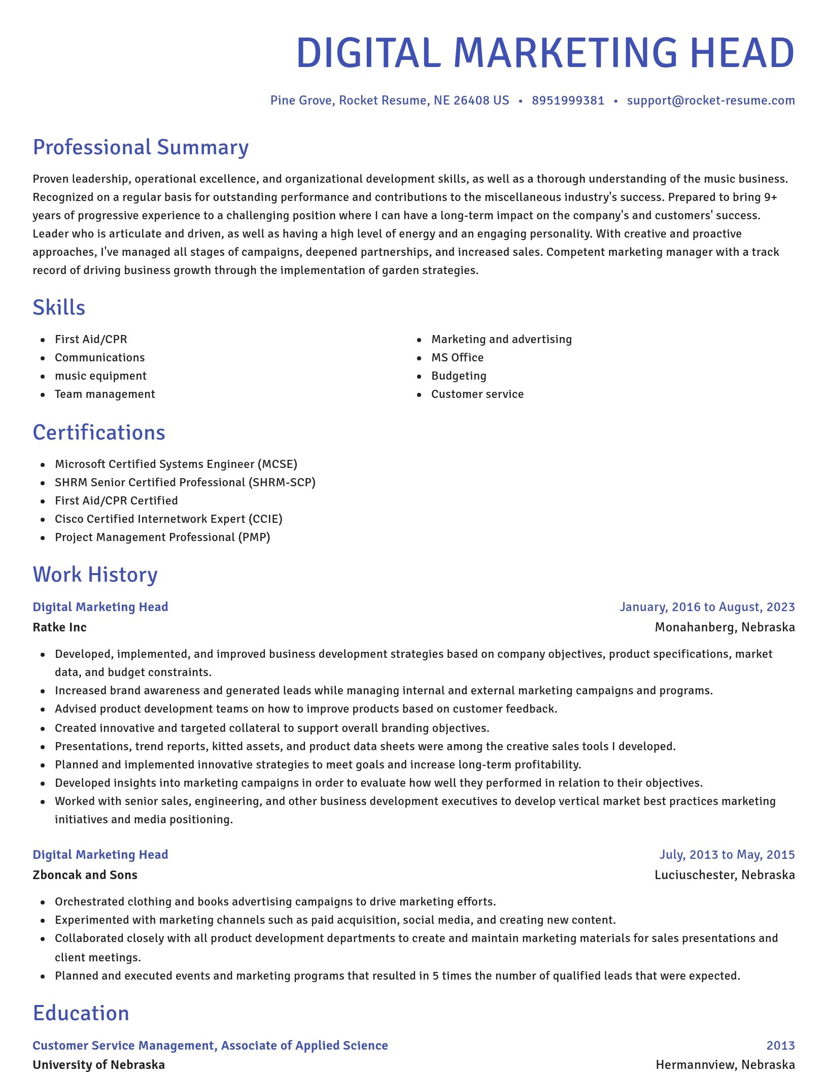 Novel resume template