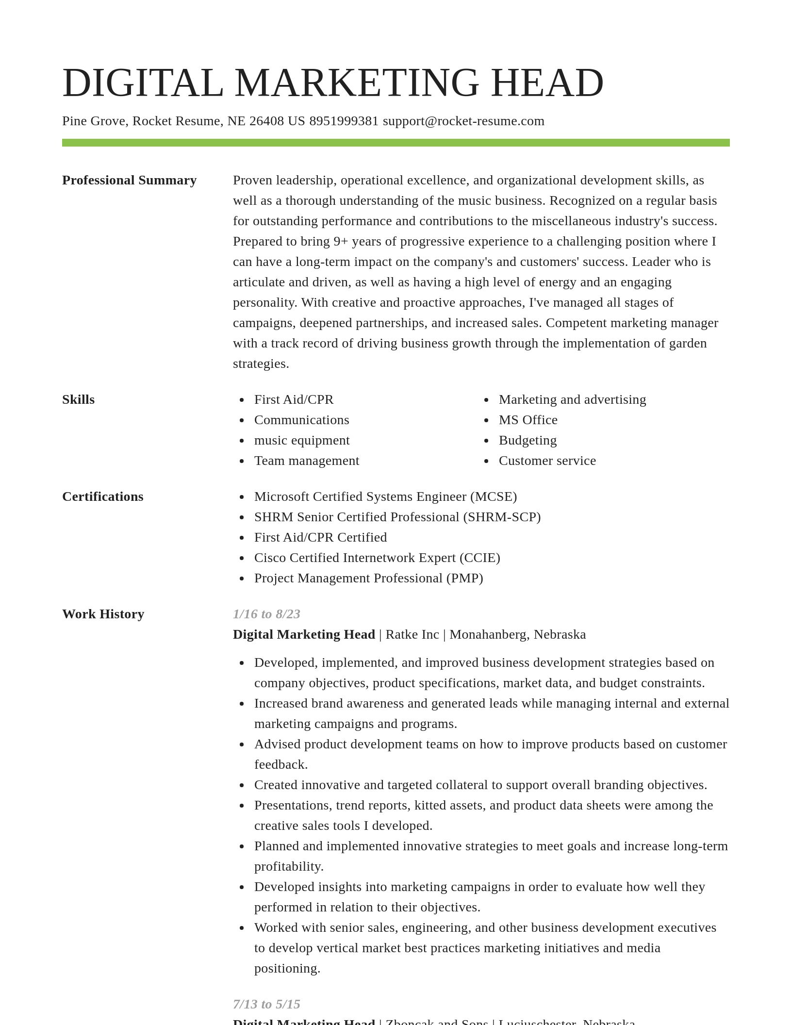 Smart resume template