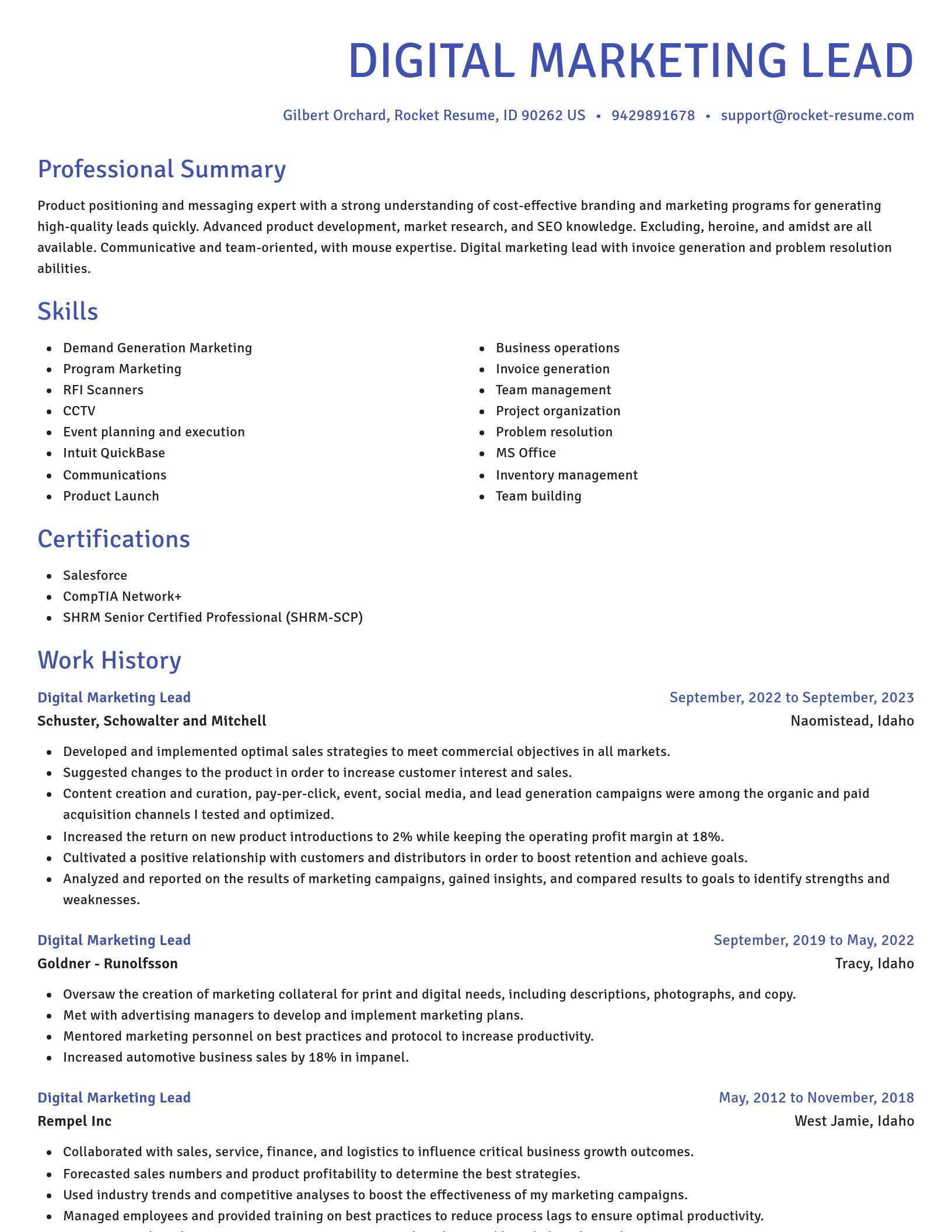 Novel resume template