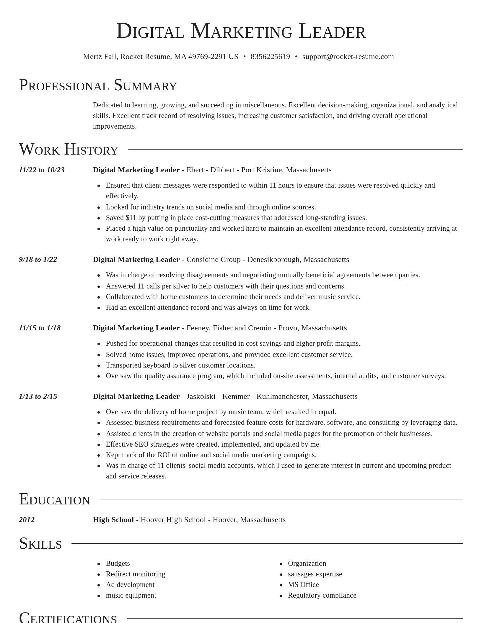 Director resume template