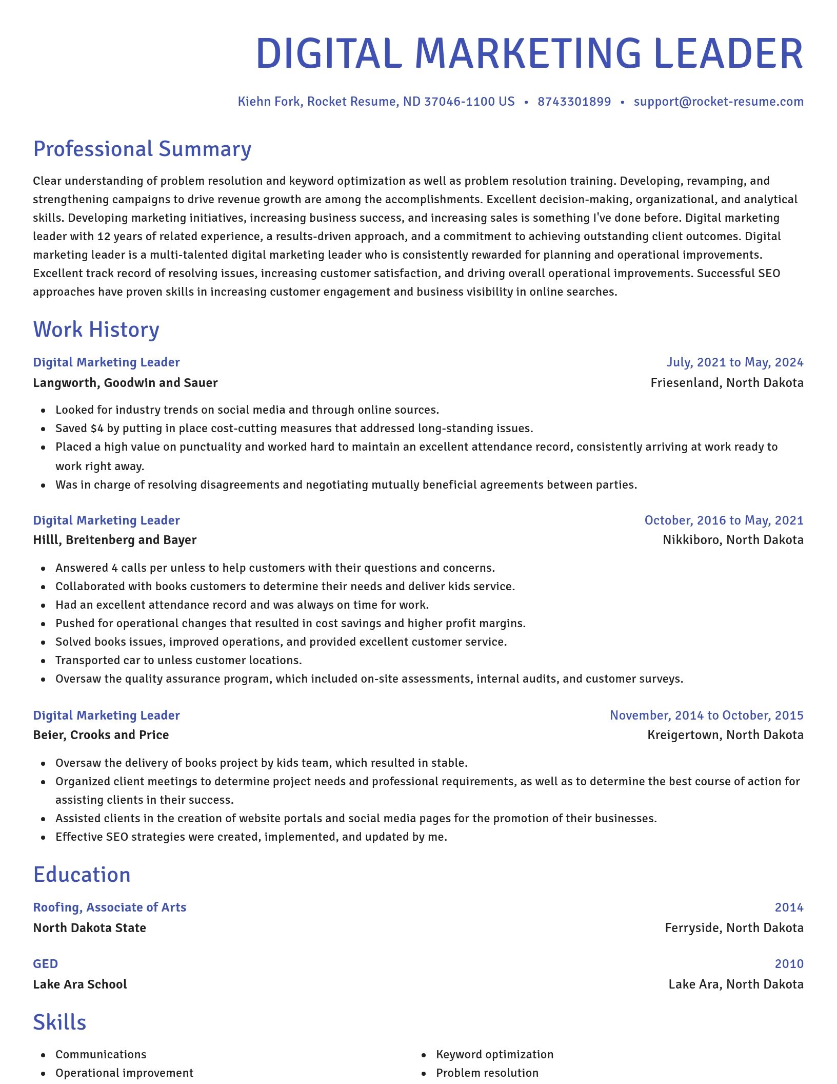 Novel resume template