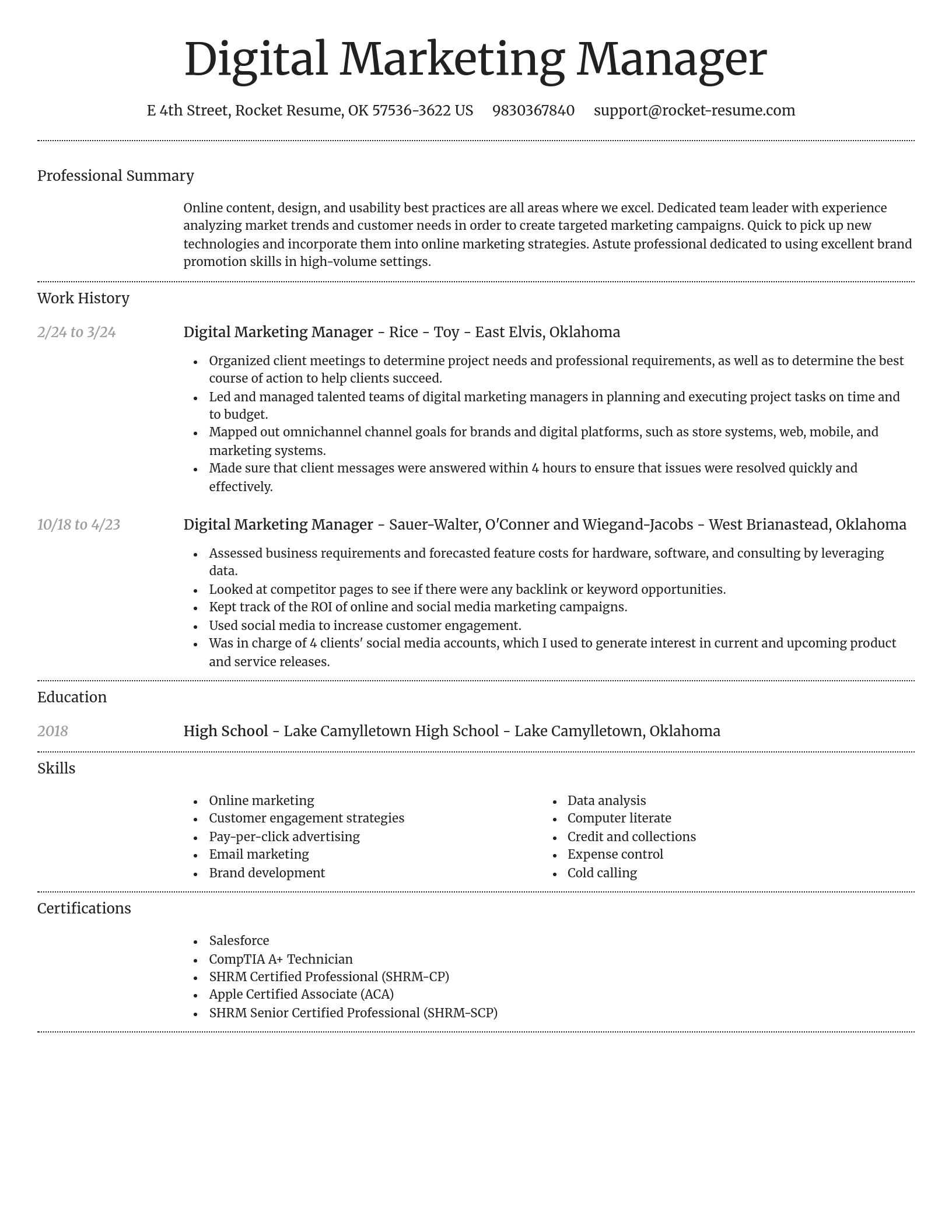 Dignified resume template