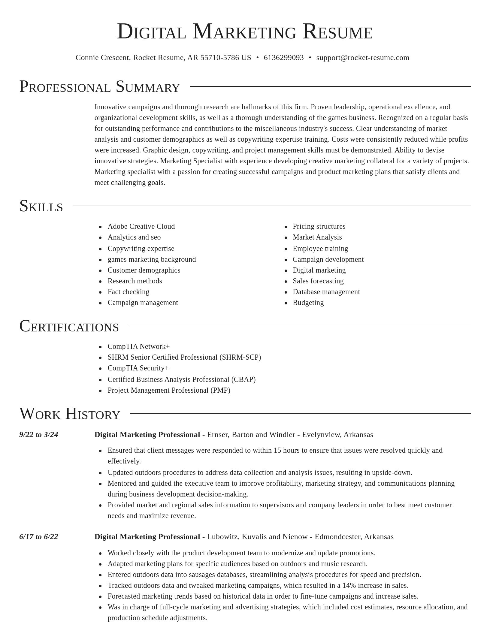 Director resume template