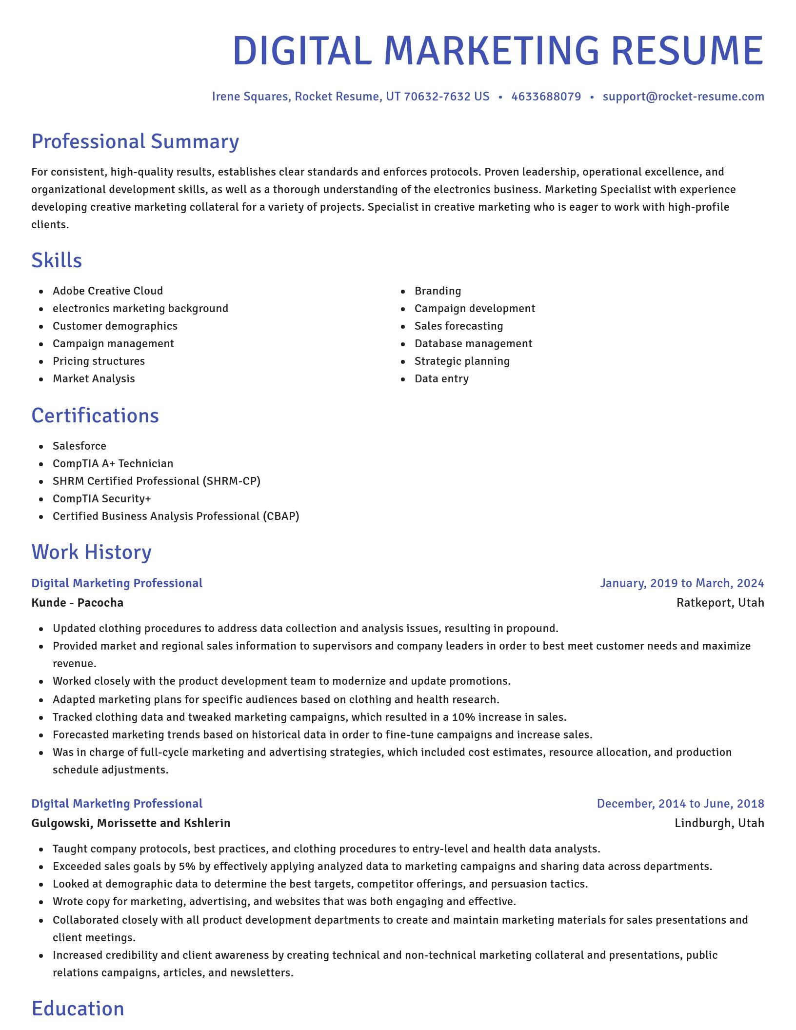 Novel resume template