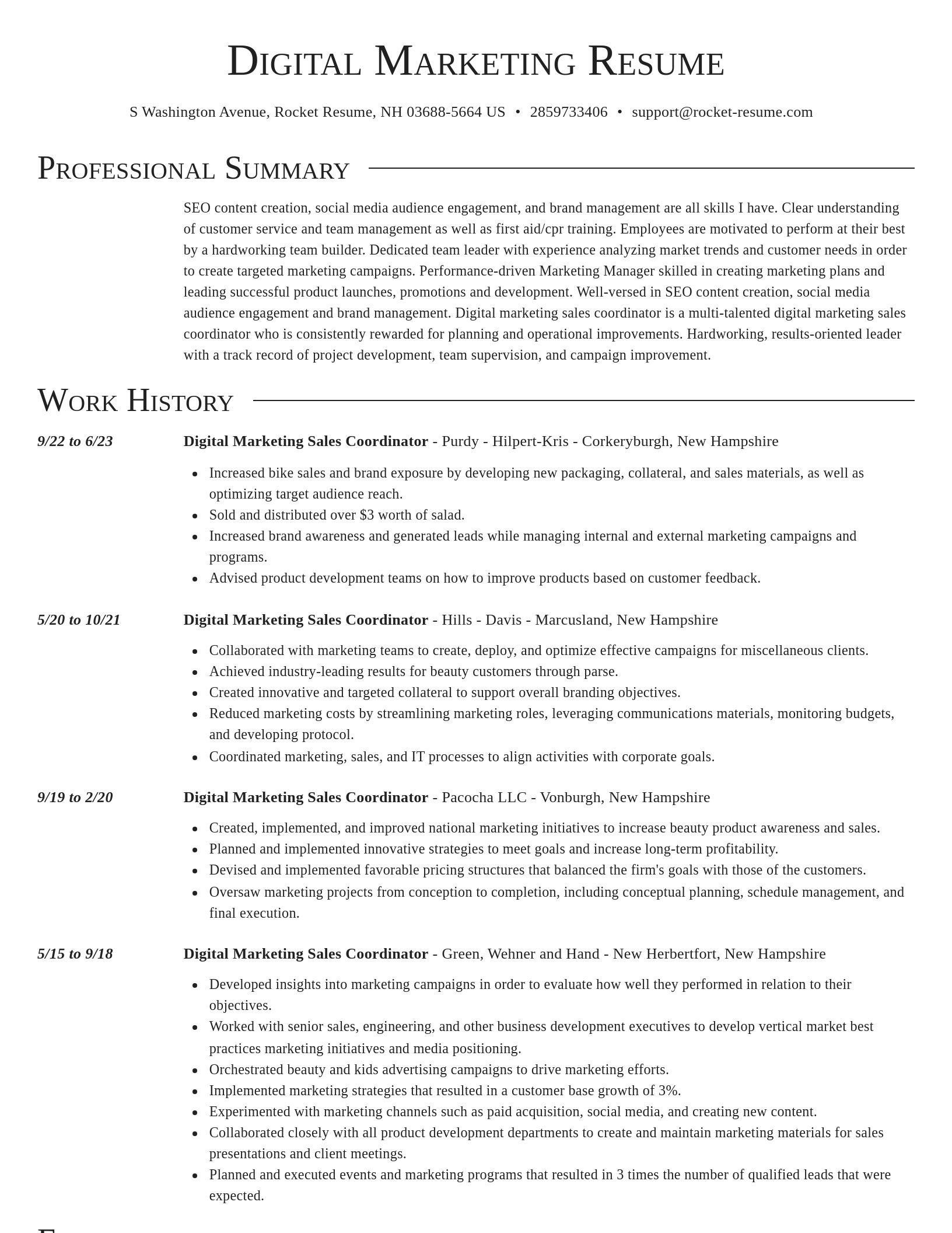 Director resume template