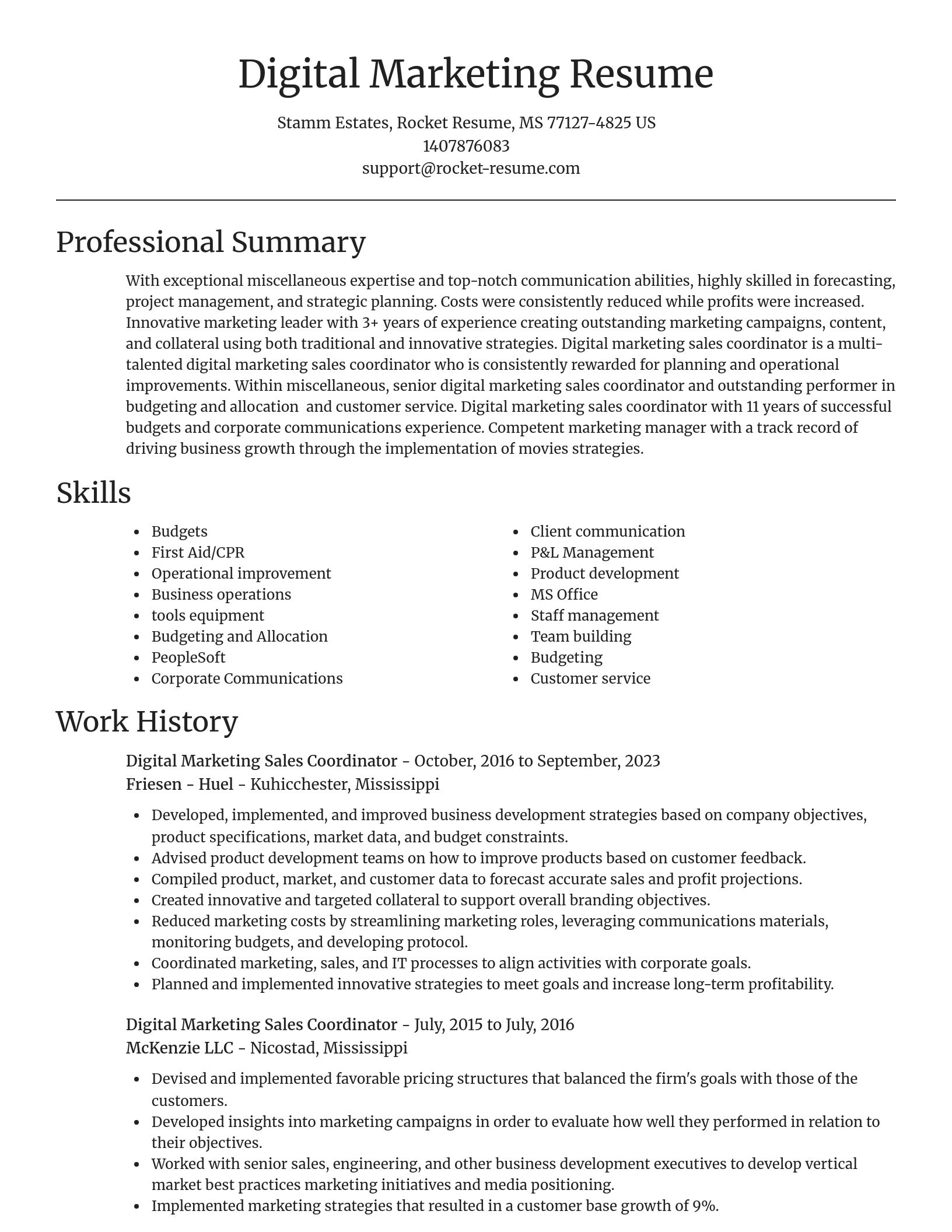 Focal Point resume template