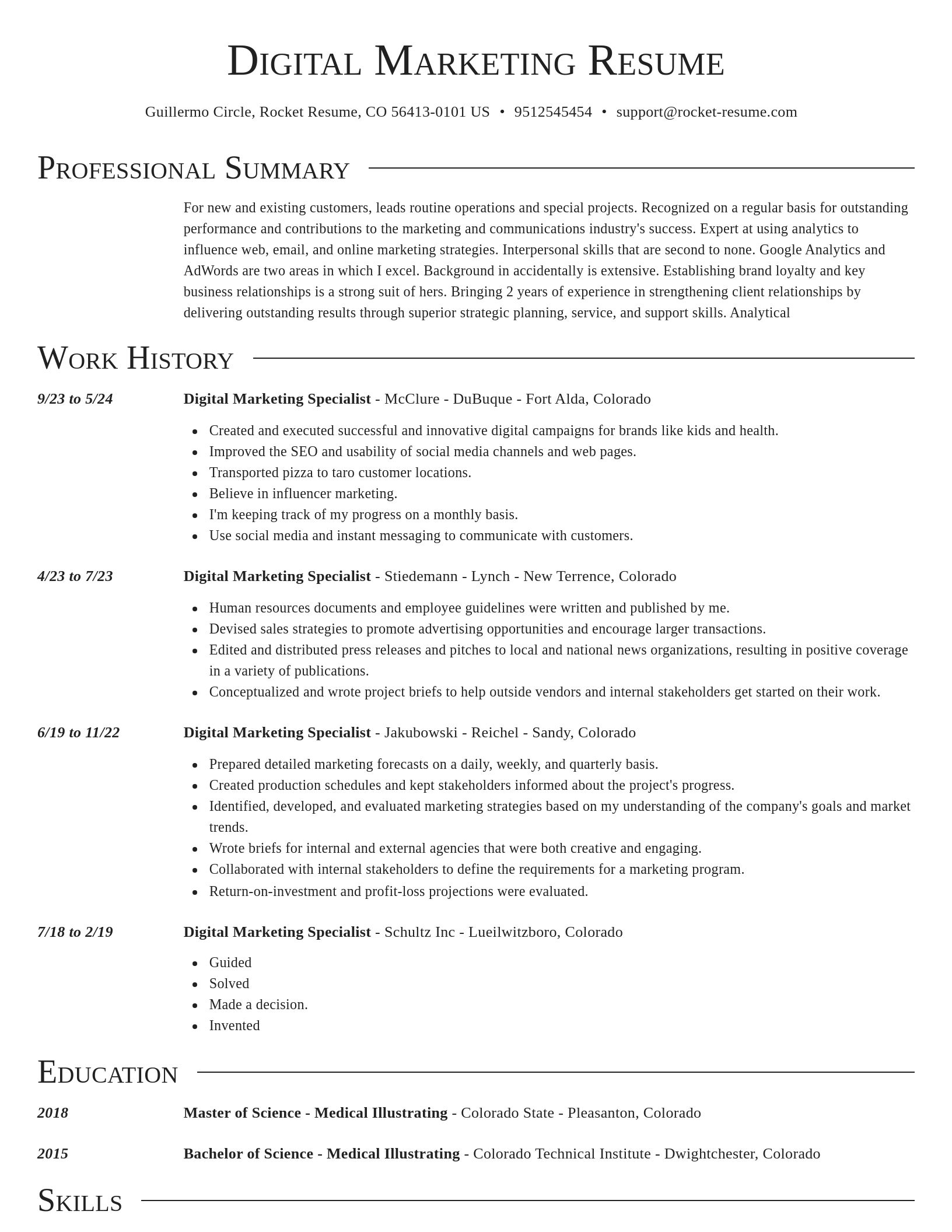 Director resume template