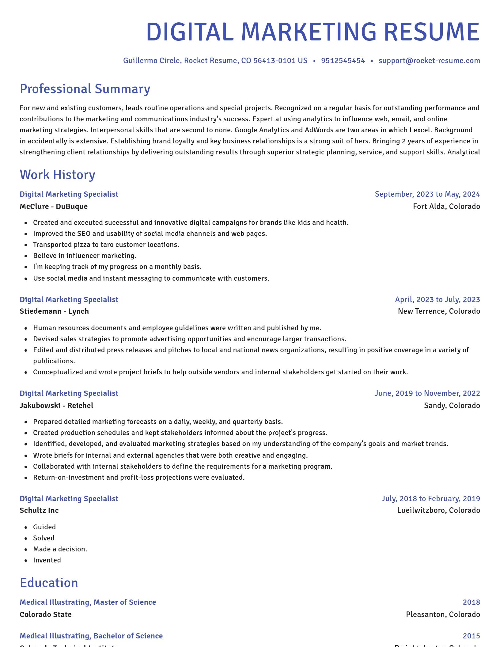 Novel resume template