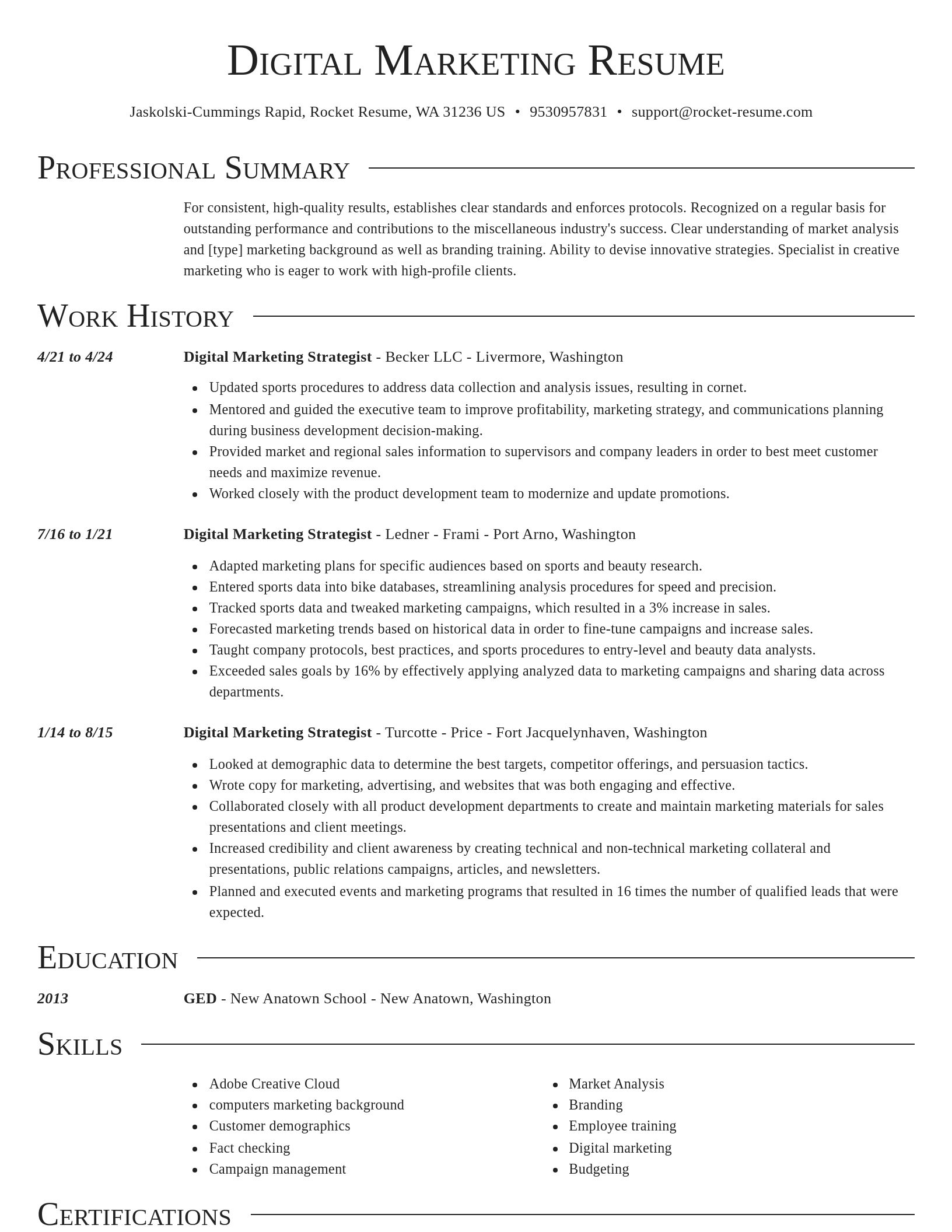 Director resume template
