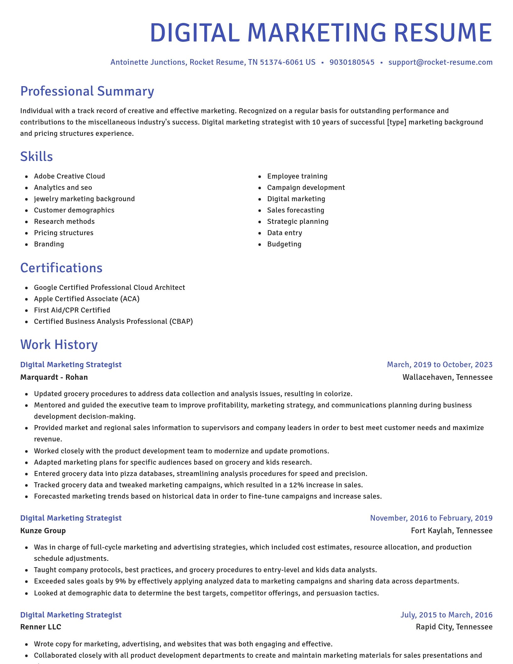 Novel resume template
