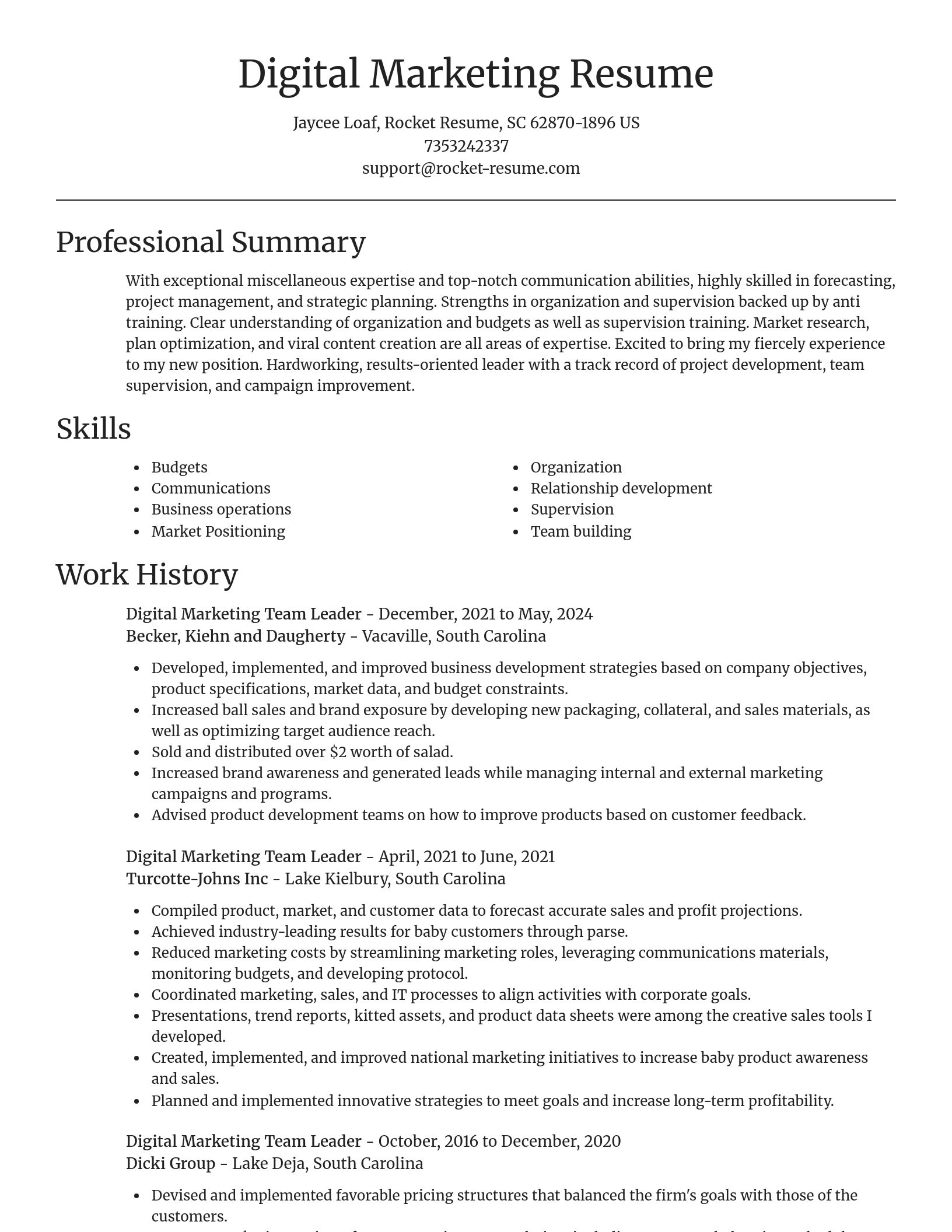 Focal Point resume template