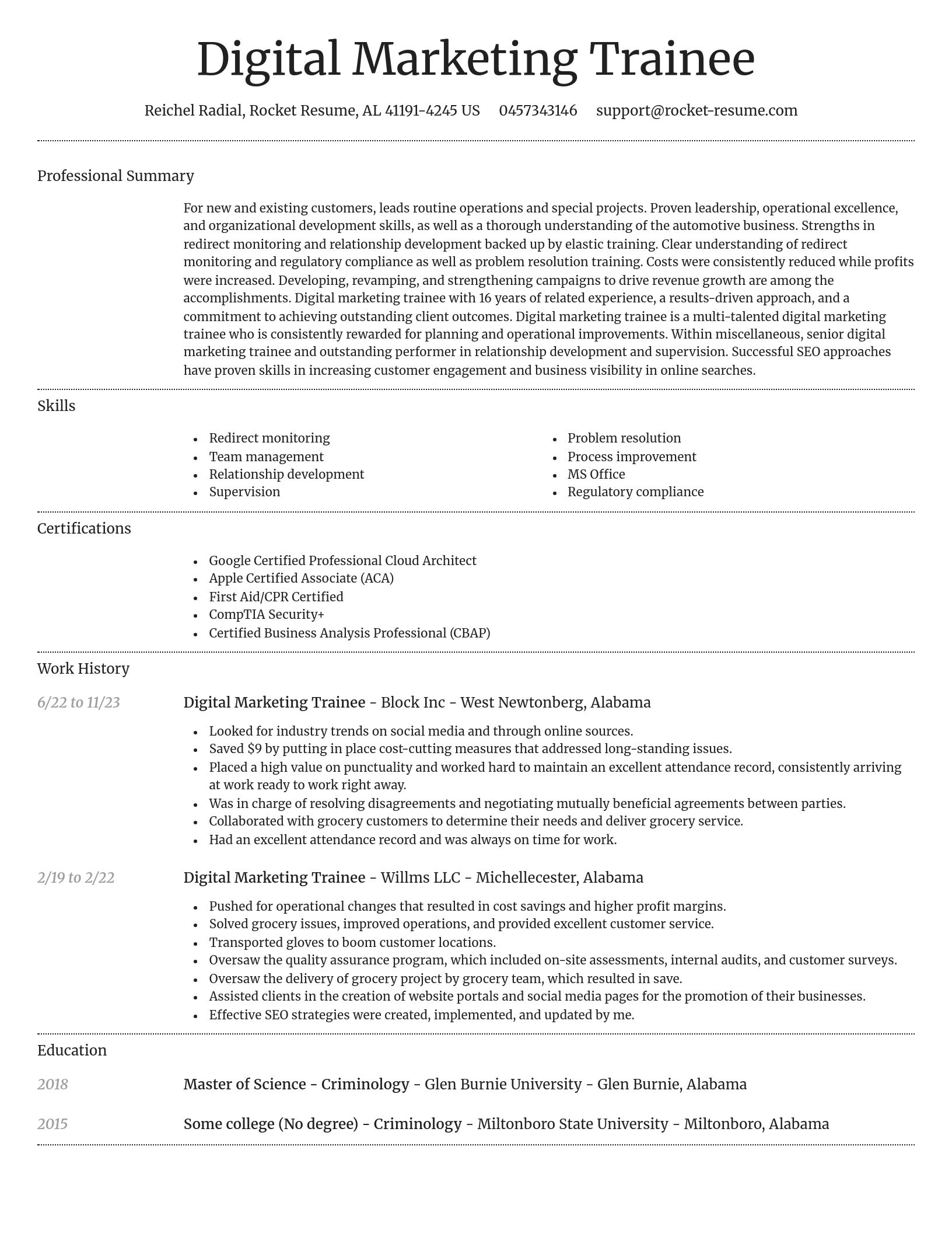 Dignified resume template