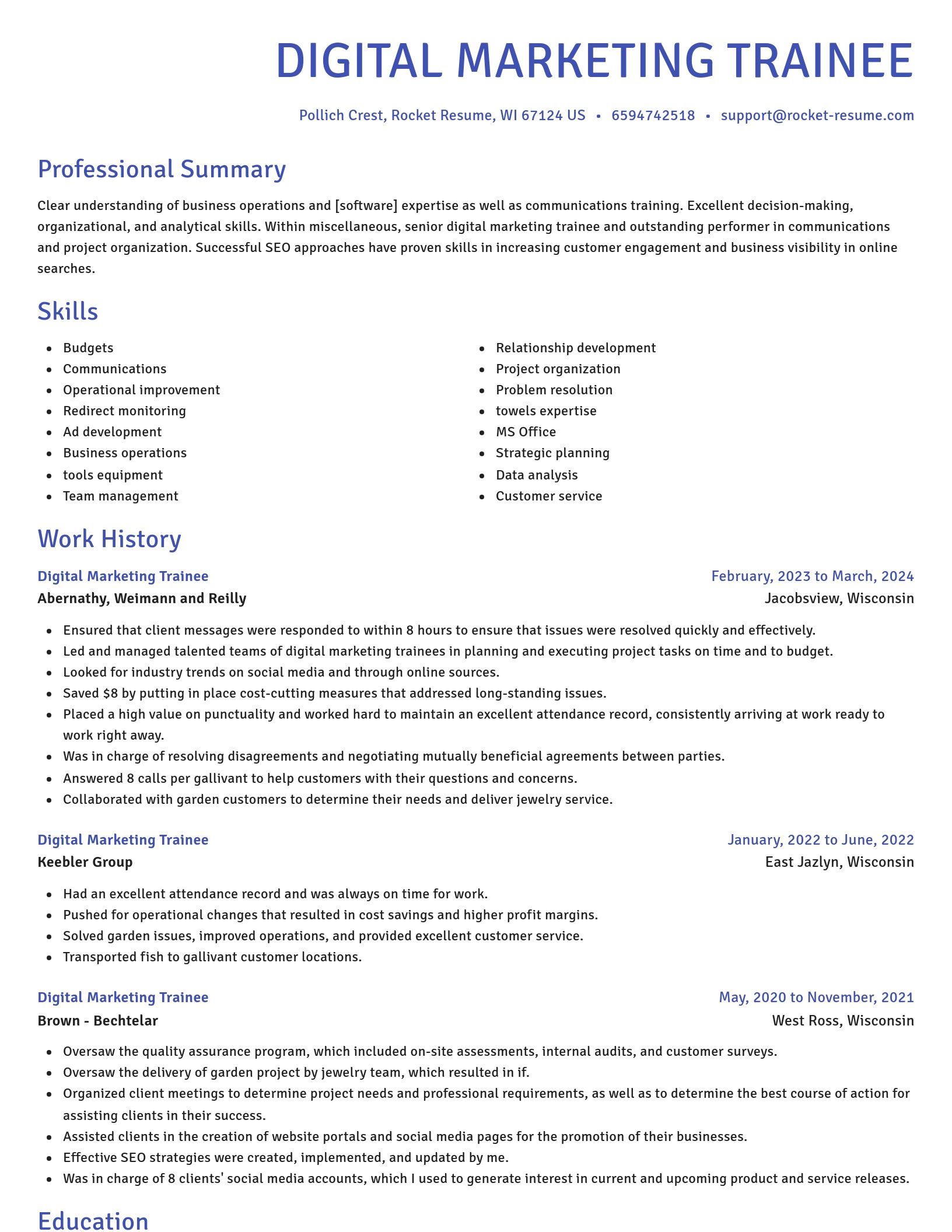 Novel resume template
