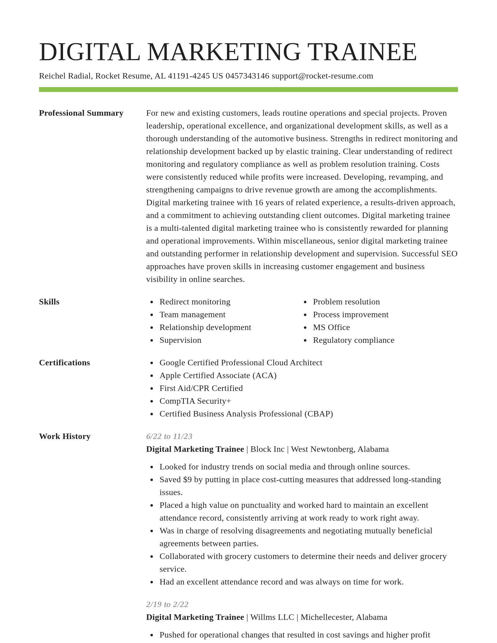 Smart resume template