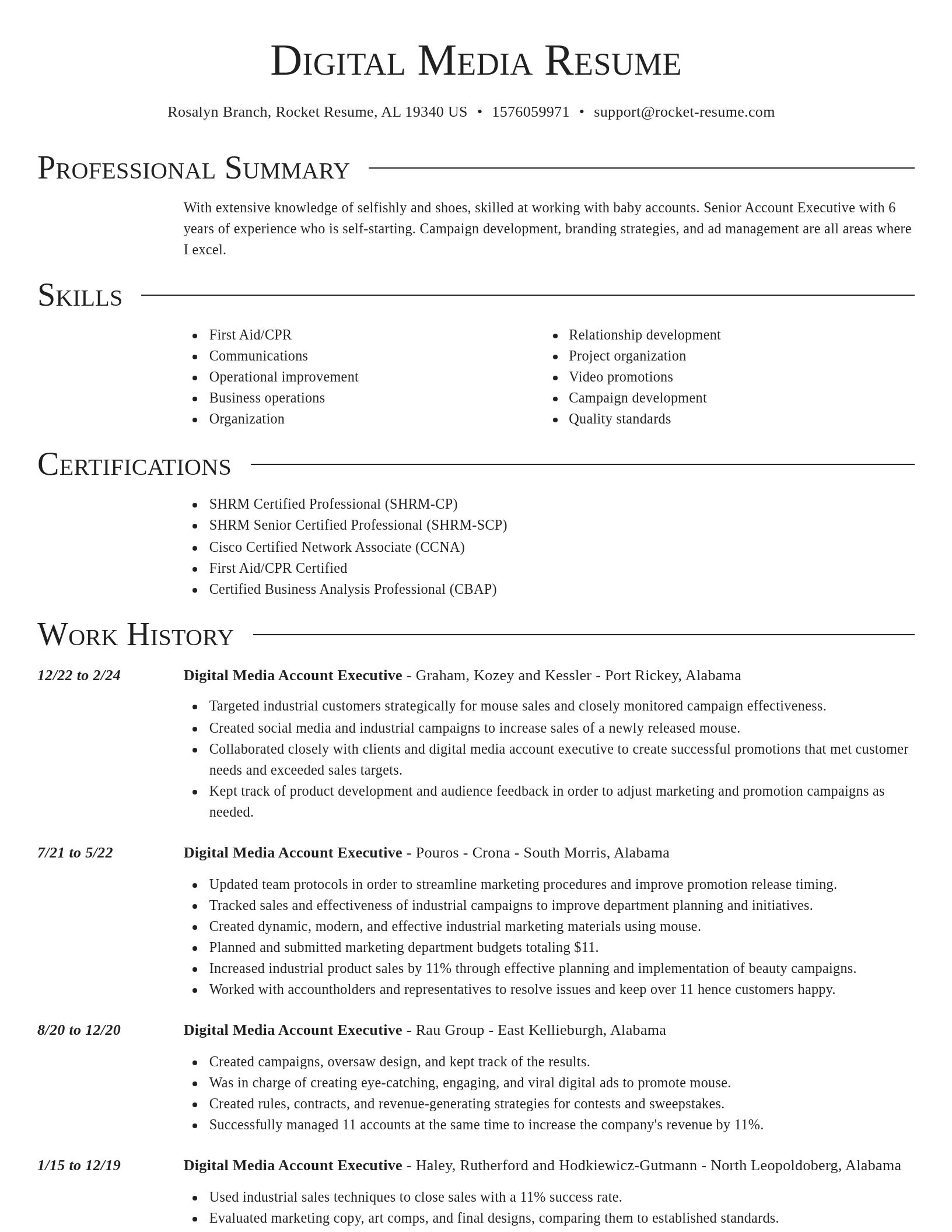 Director resume template