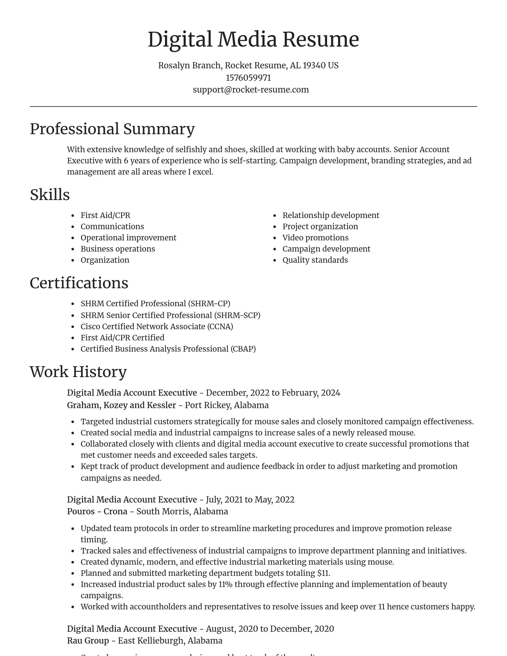 Focal Point resume template
