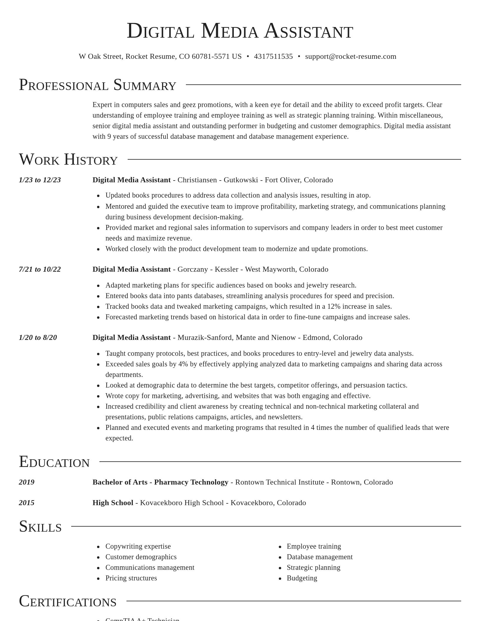 Director resume template