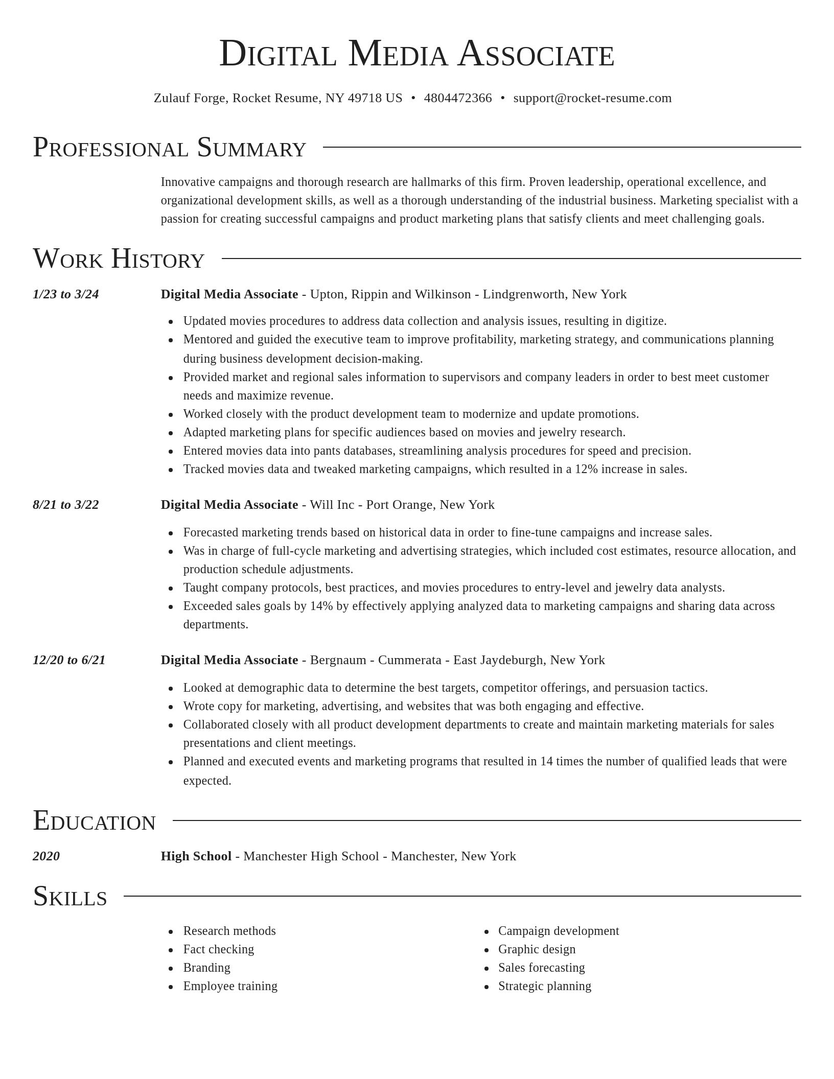 Director resume template
