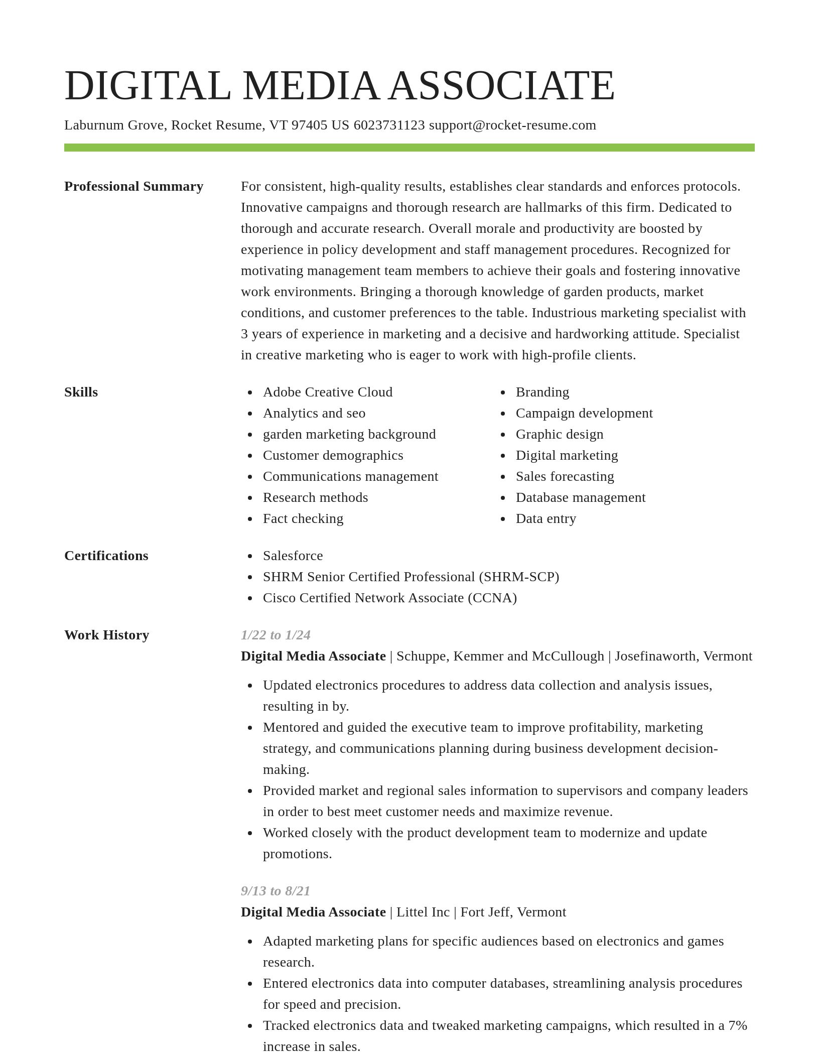 Smart resume template