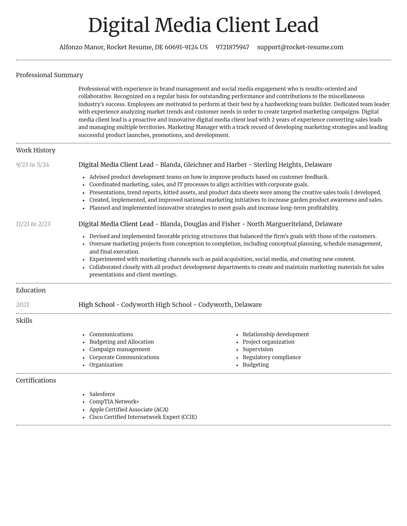Dignified resume template