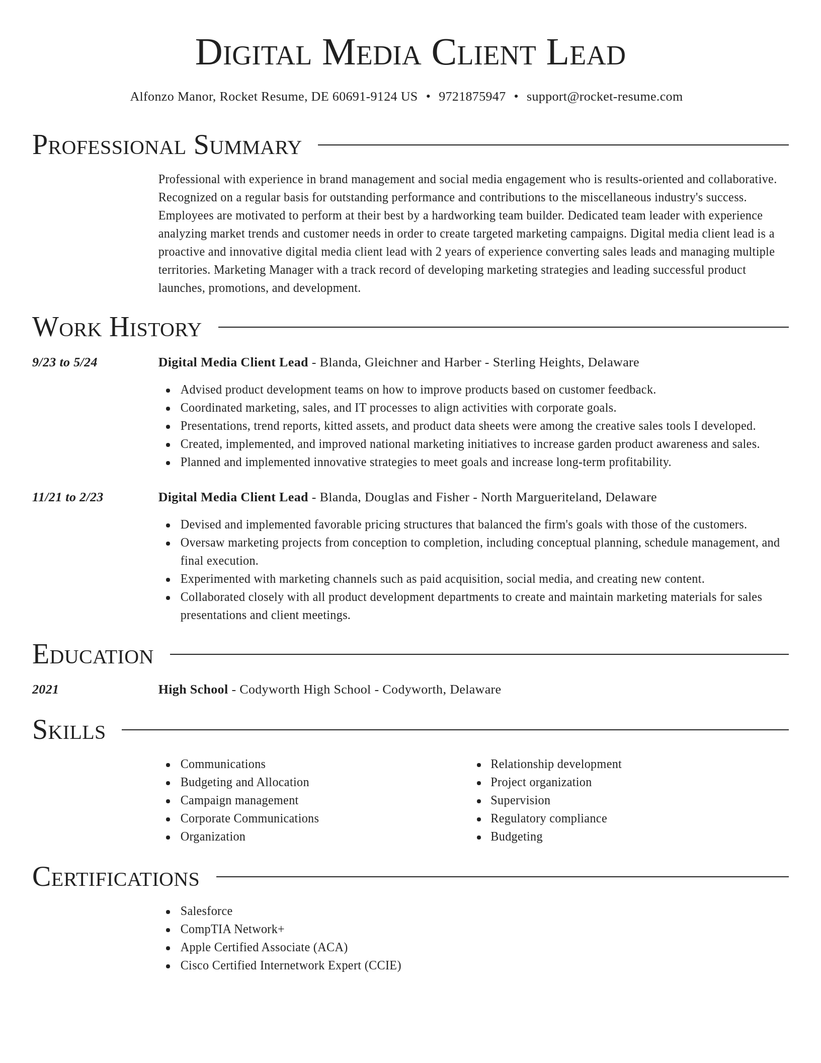 Director resume template
