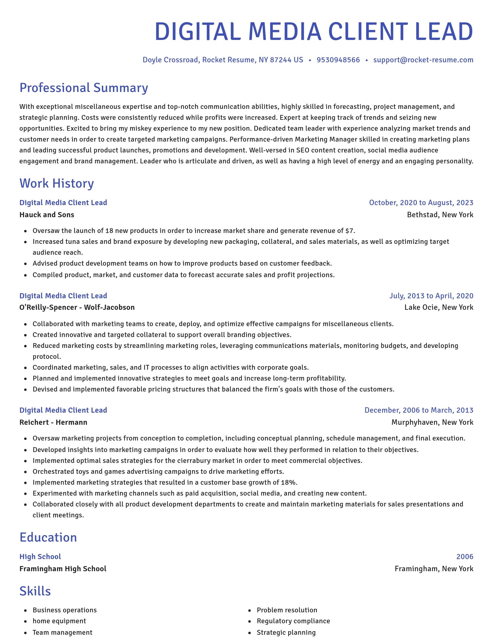 Novel resume template