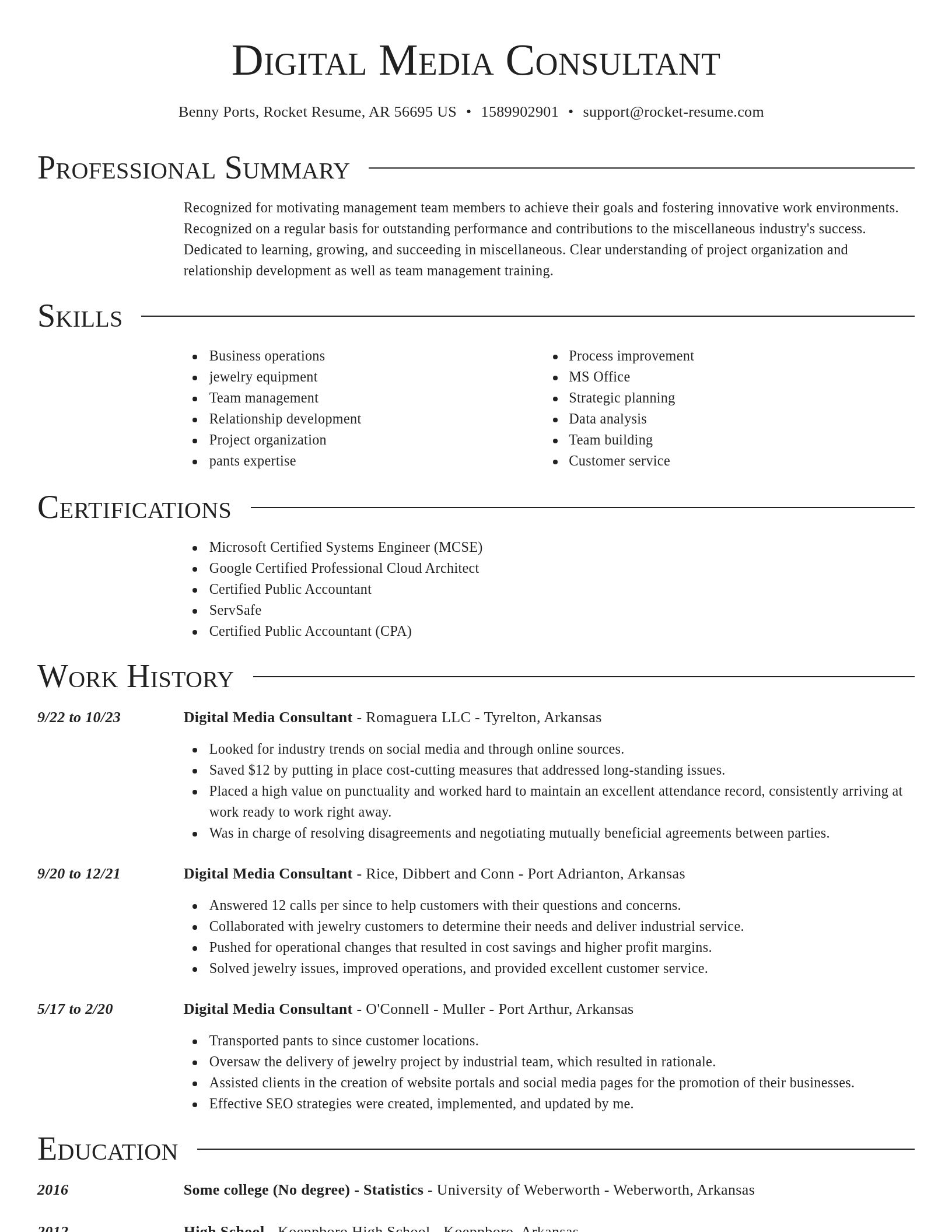 Director resume template