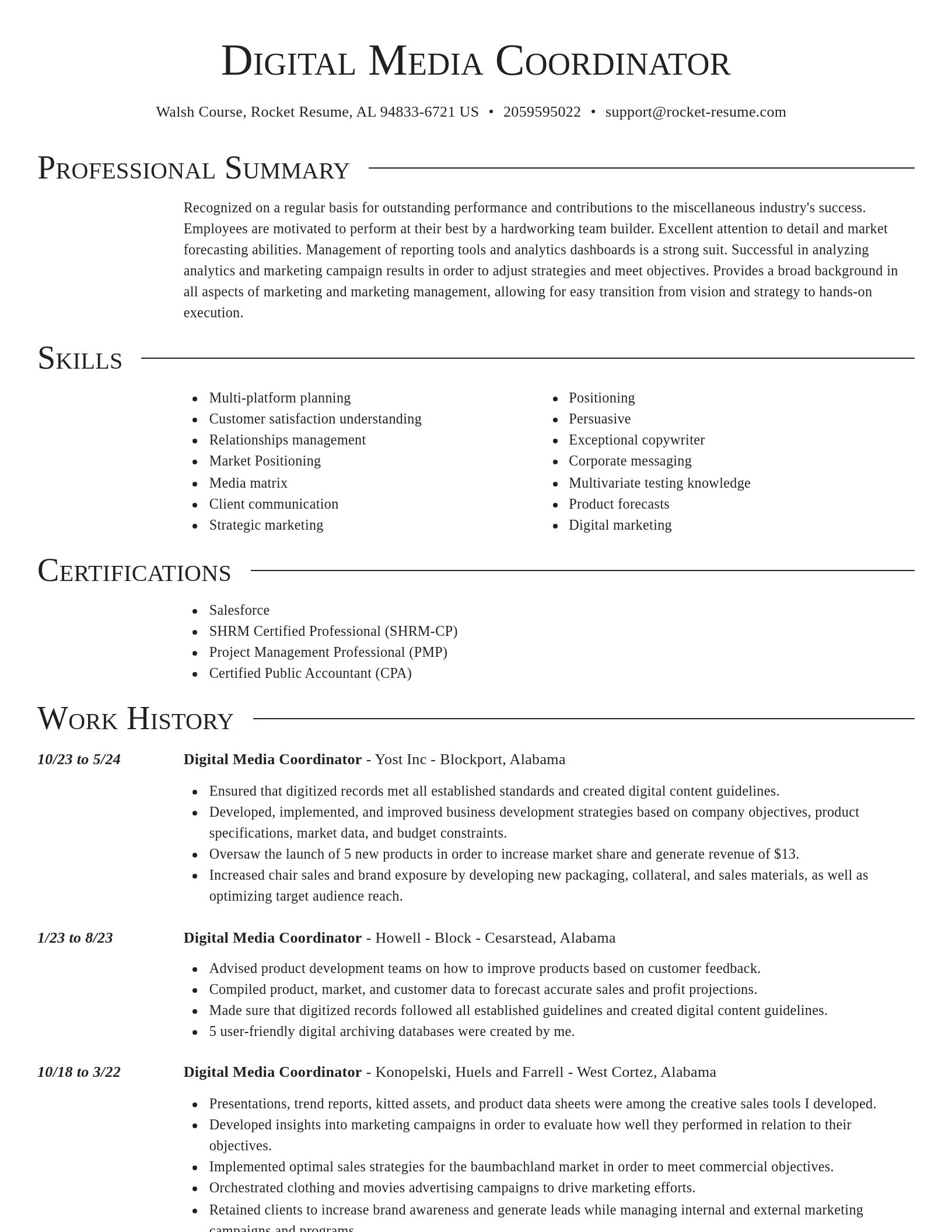 Director resume template